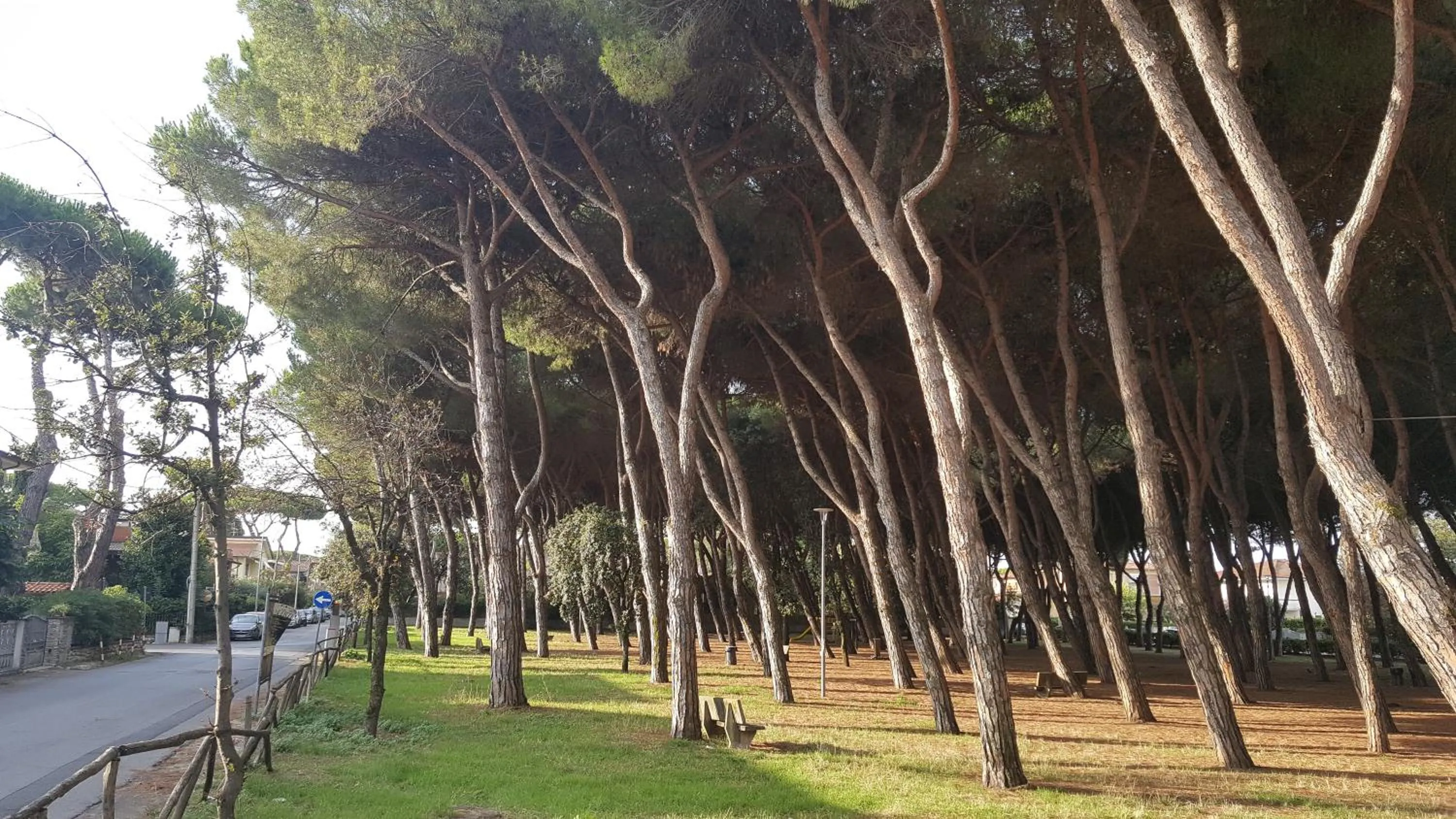 Street view in La locanda di Gioele