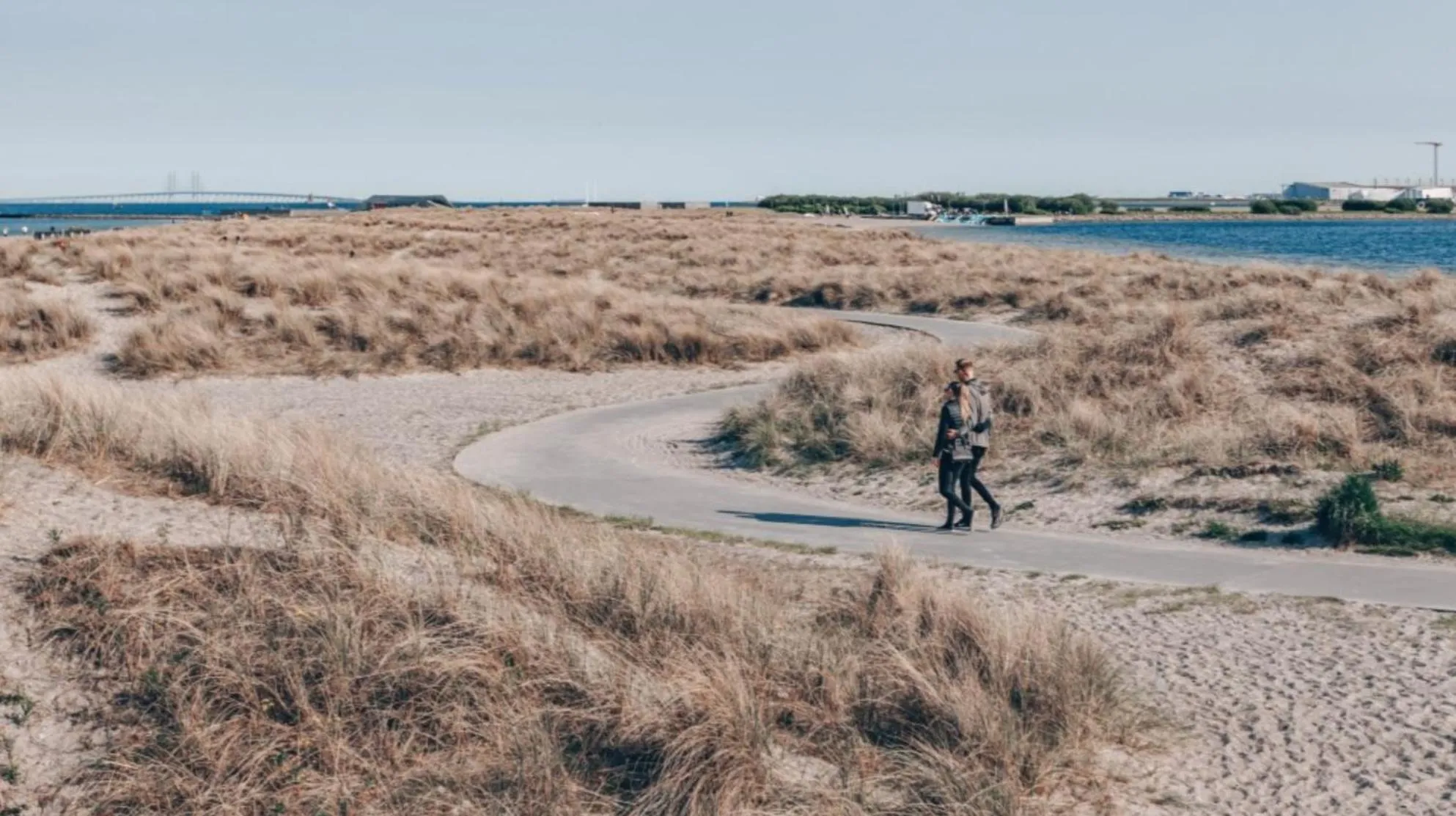 Natural landscape in The Beach apartments by Daniel&Jacob's