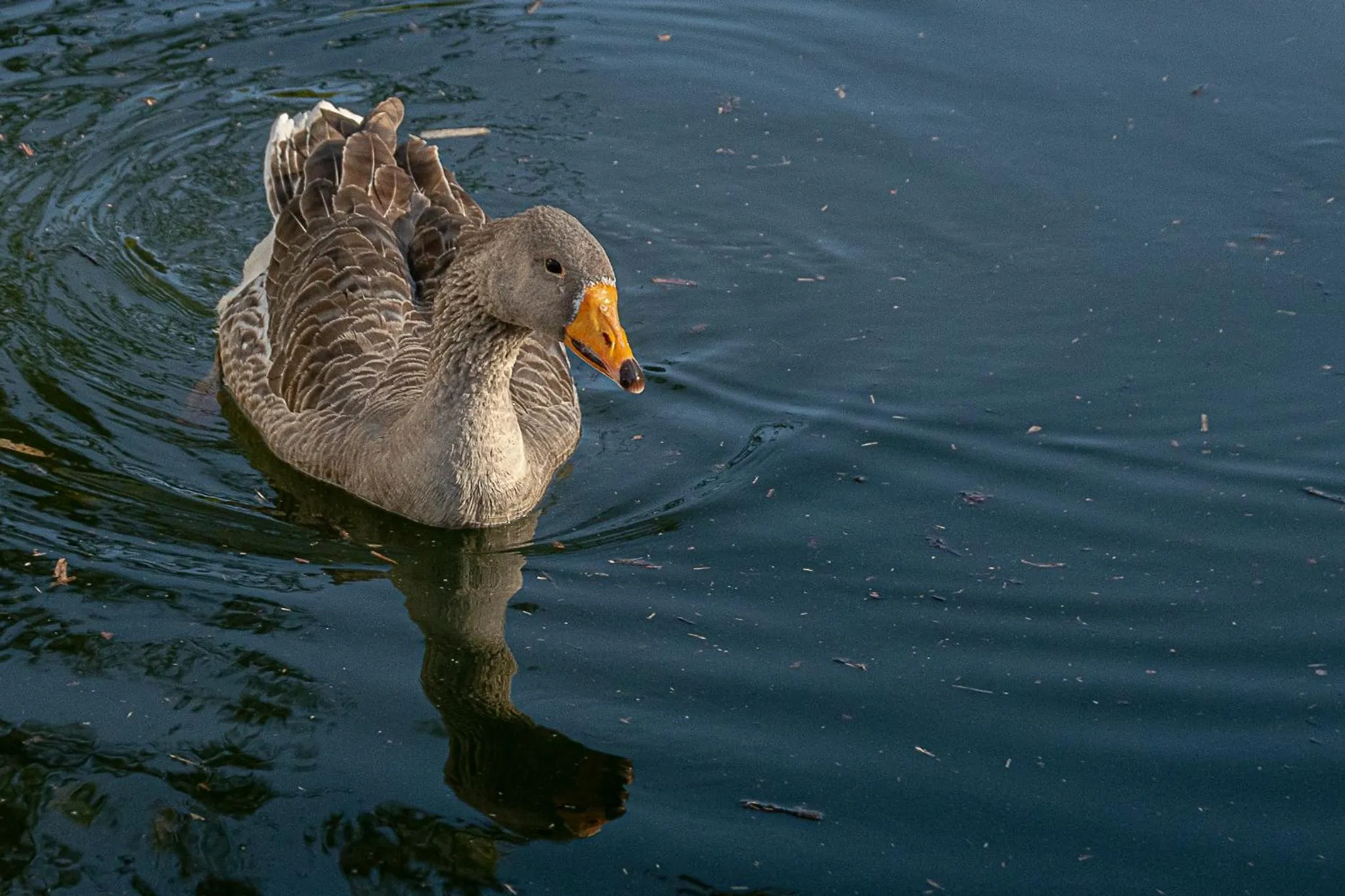 Pousada Chácara Rio Jordão
