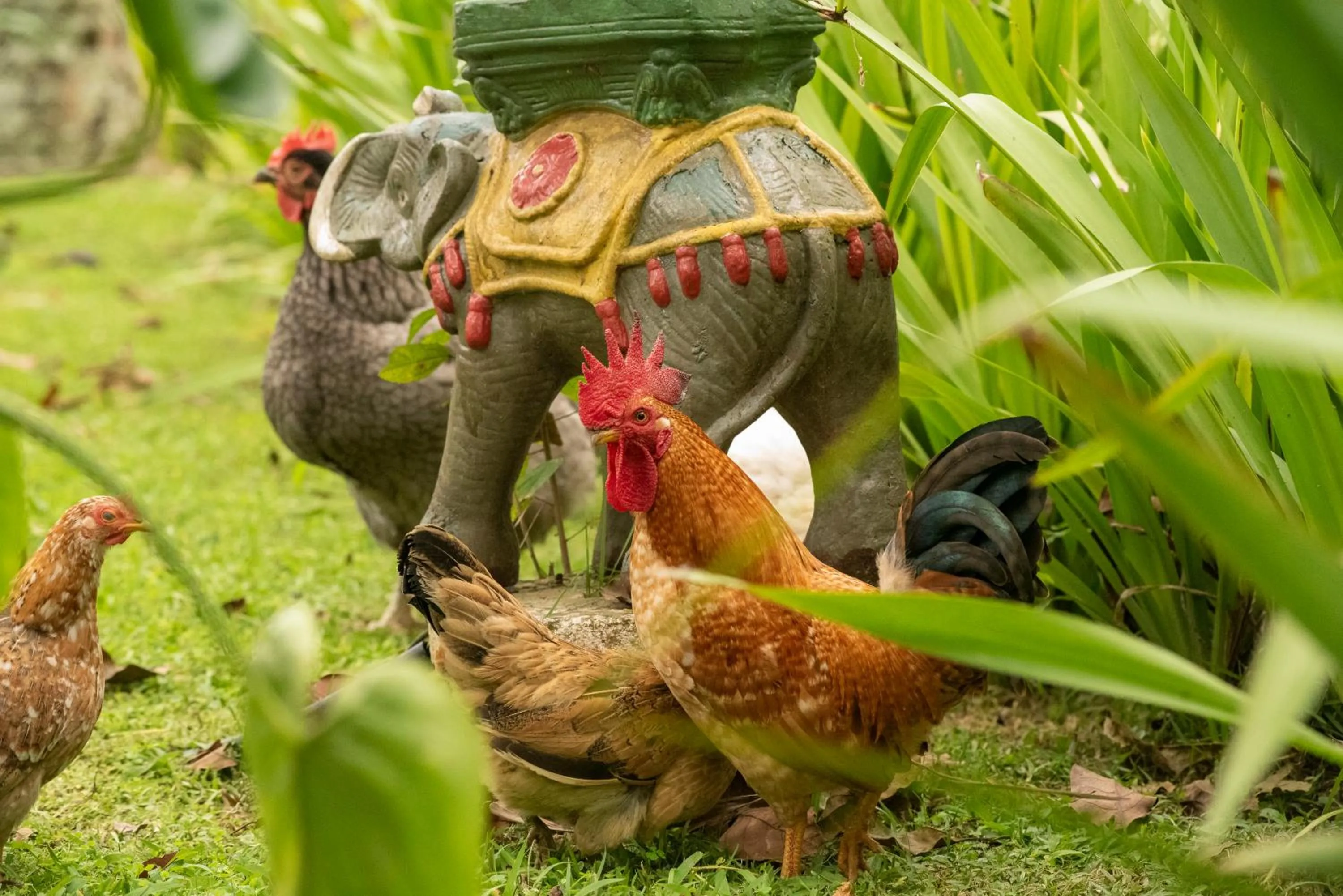 Pousada Chácara Rio Jordão