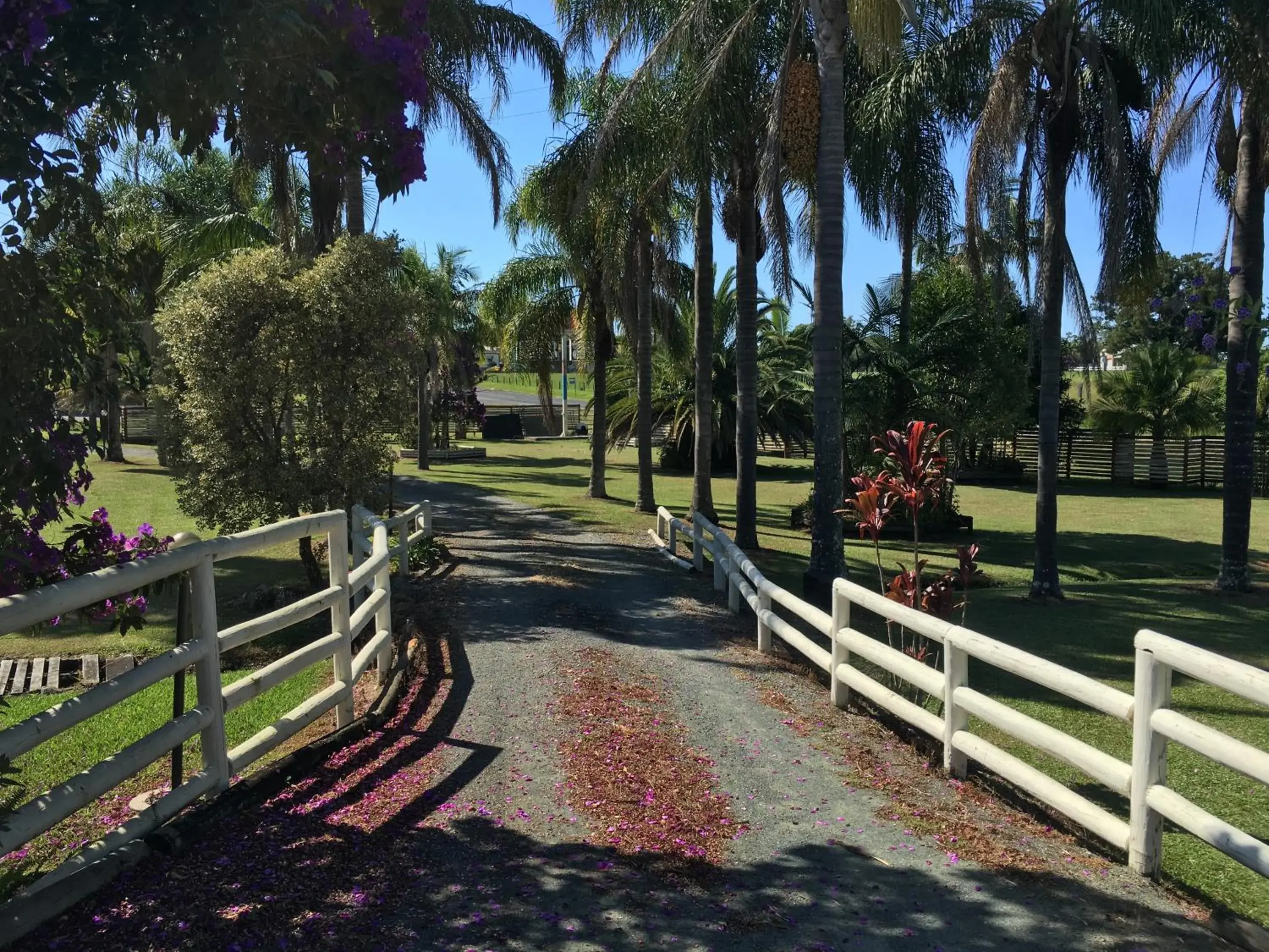 Palms Oasis Motel Palms Oasis Motel