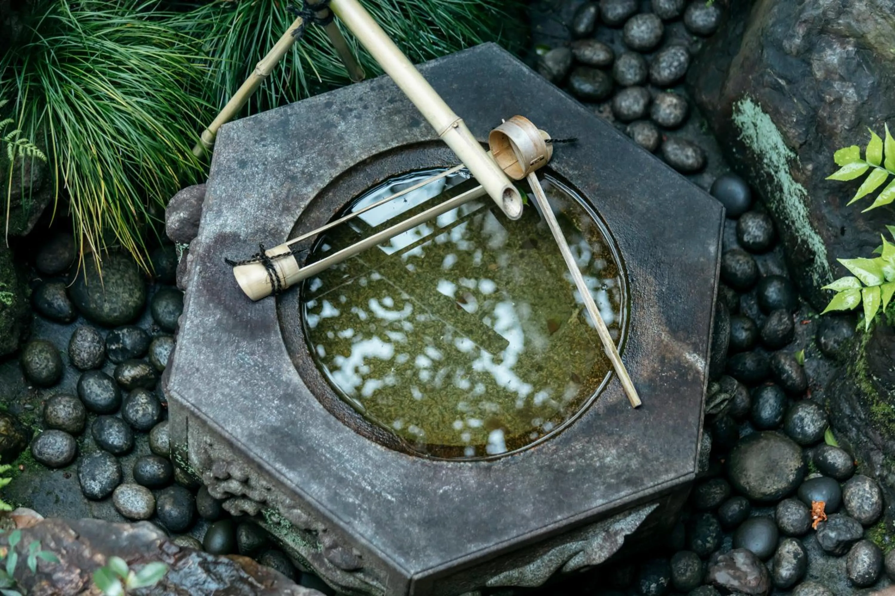 Garden in Toshiharu Ryokan