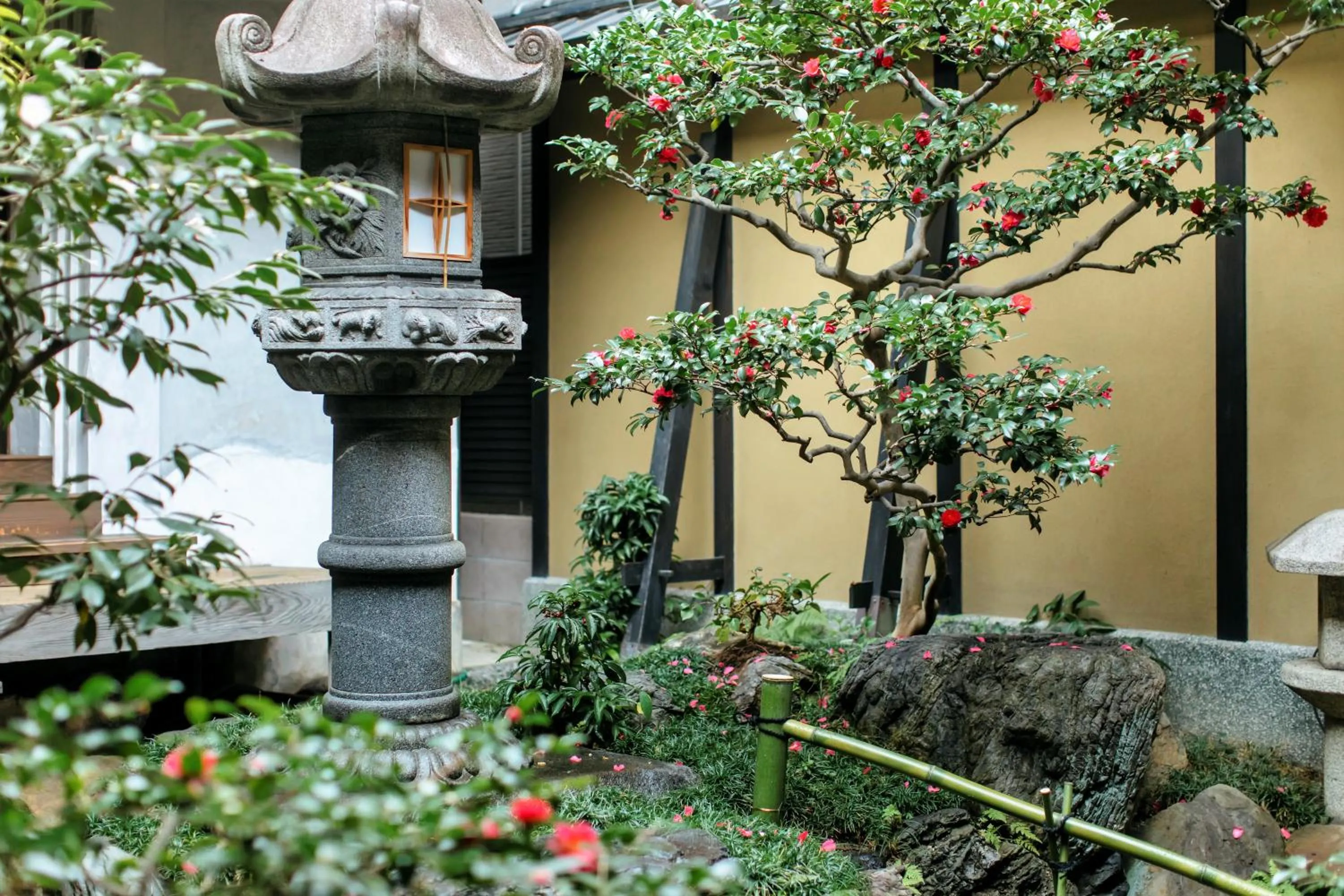 Garden in Toshiharu Ryokan