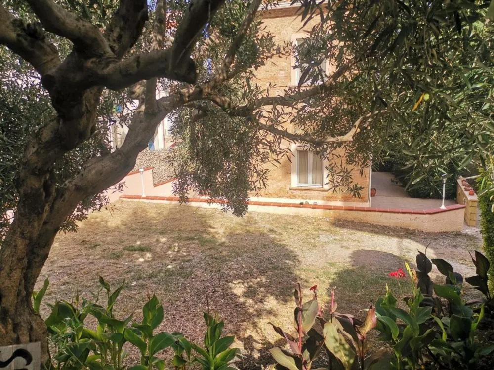 Parking in Santo's House