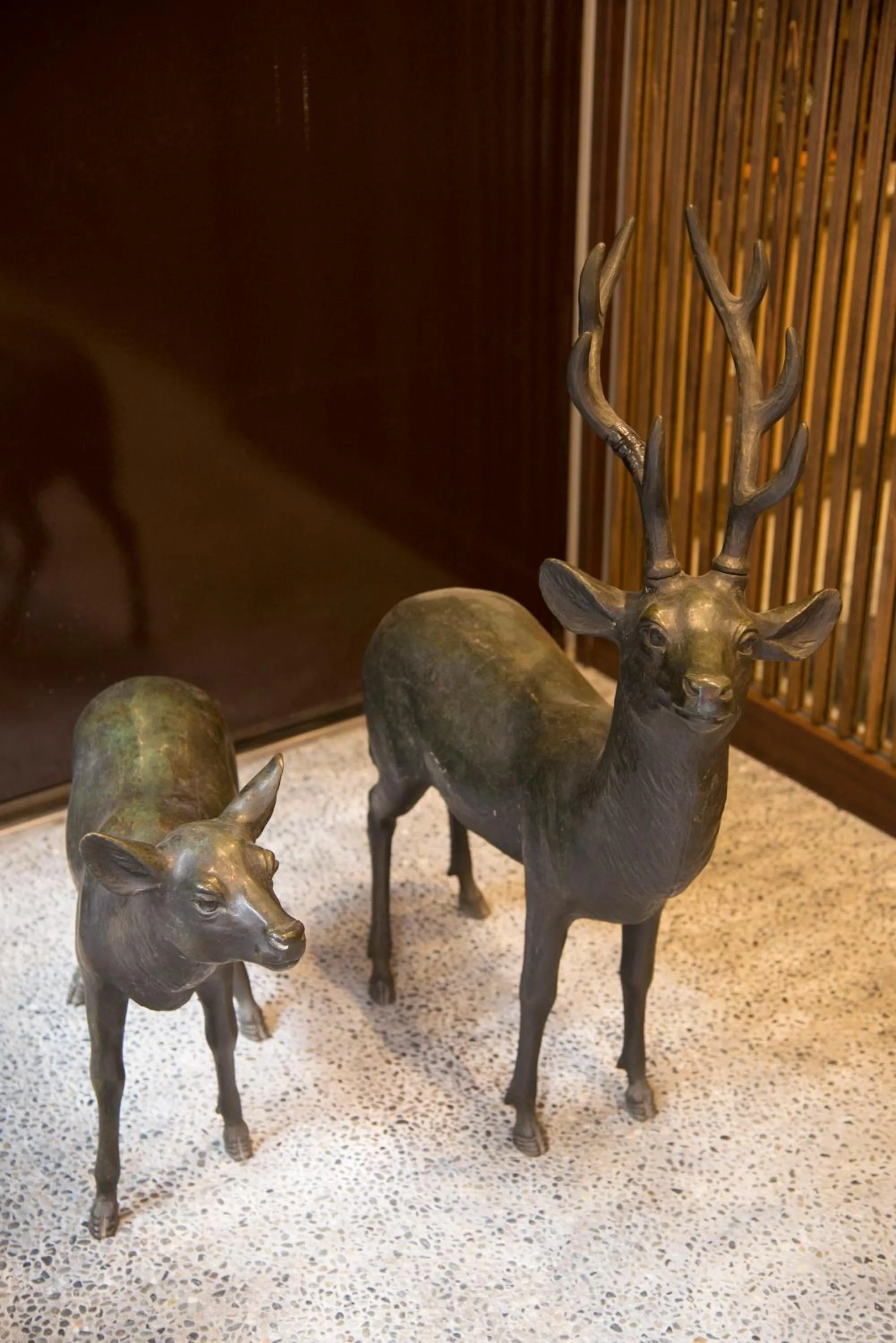 Other in Tenpyo Ryokan