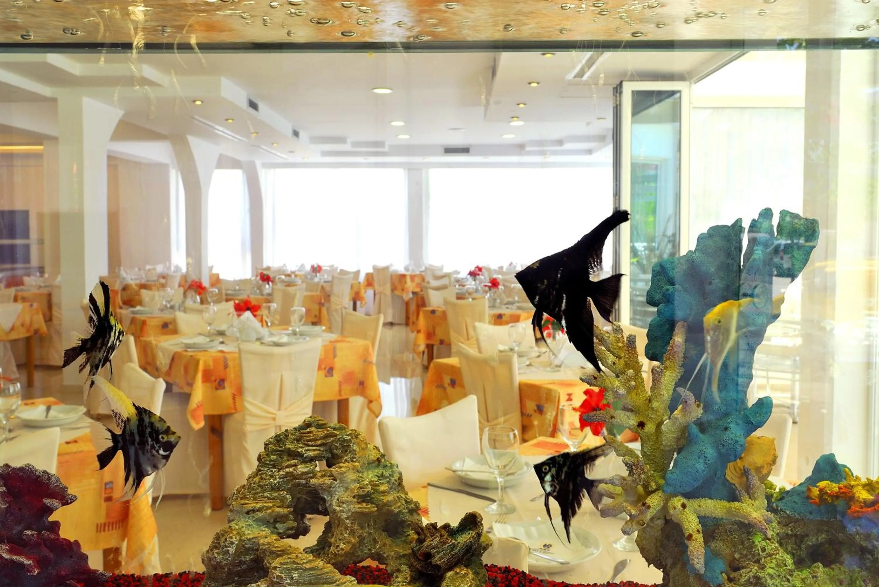 Restaurant/places to eat in Kolymbia Sun