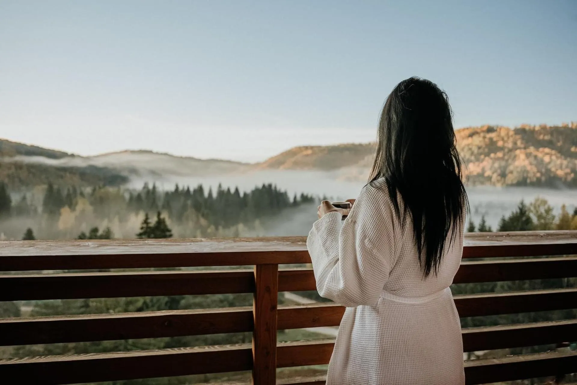 Landmark view in Hotel Partizán