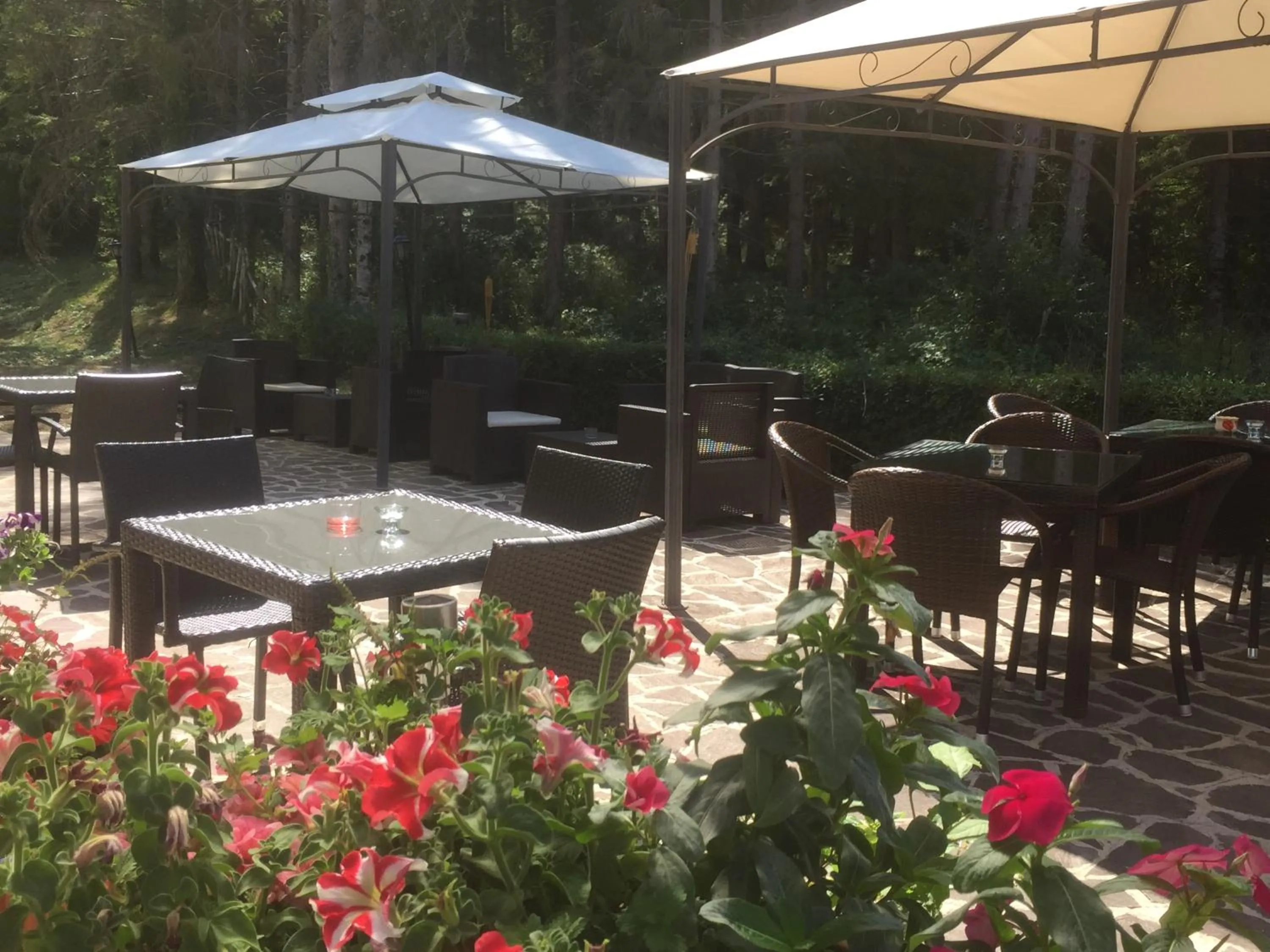 Garden in Hotel Alisma