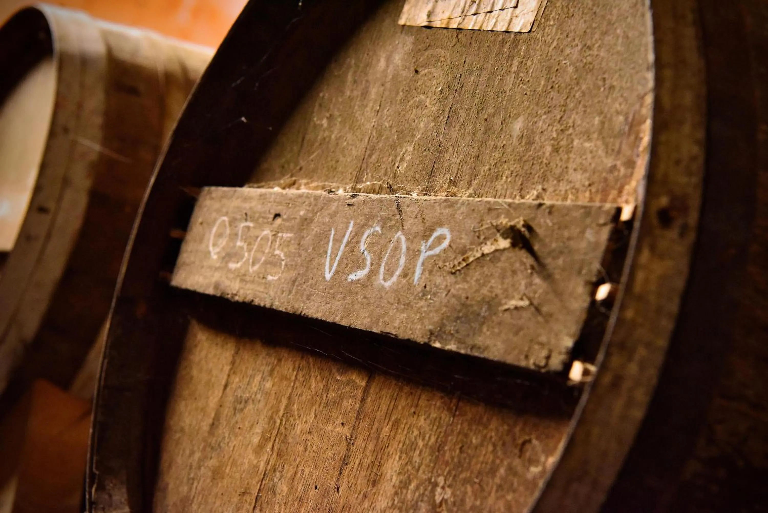 Activities in domaine d' Arcalis