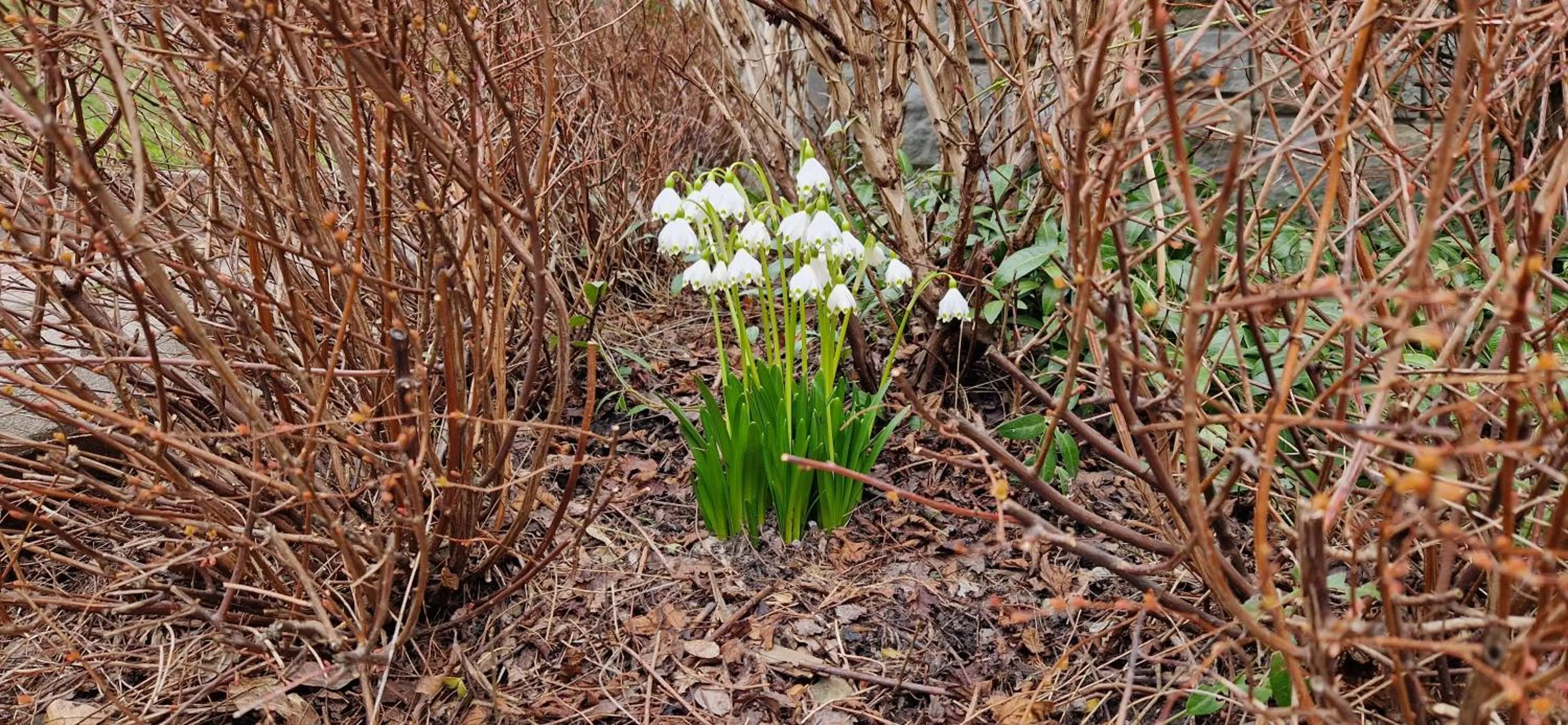 Off site, Other Animals in Hotel Wysoka