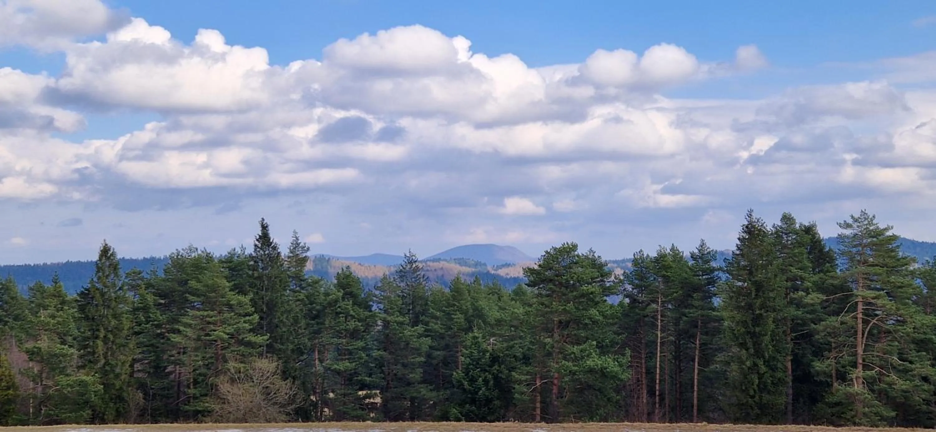 Spring in Hotel Wysoka