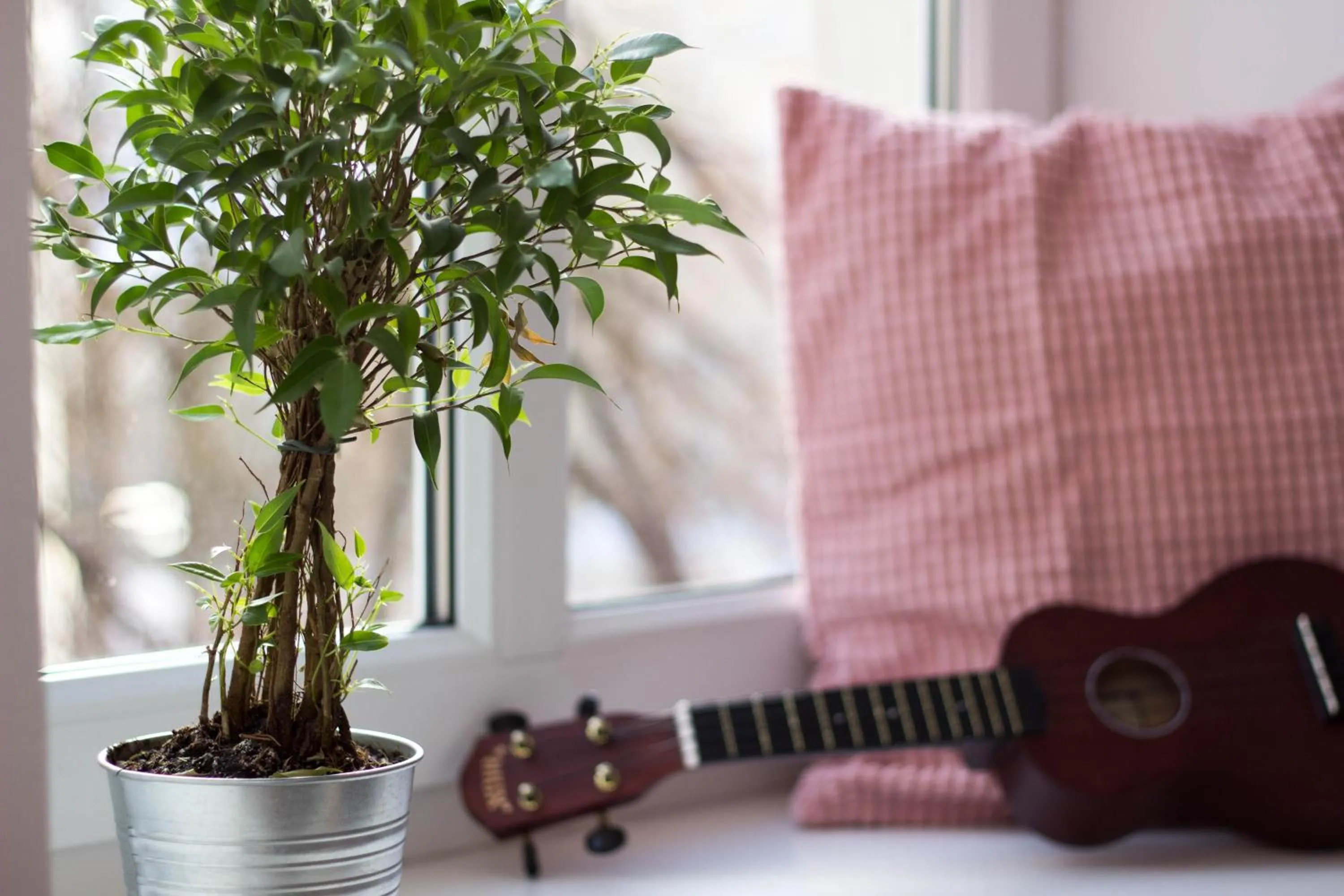 Decorative detail in Chillout Hostel