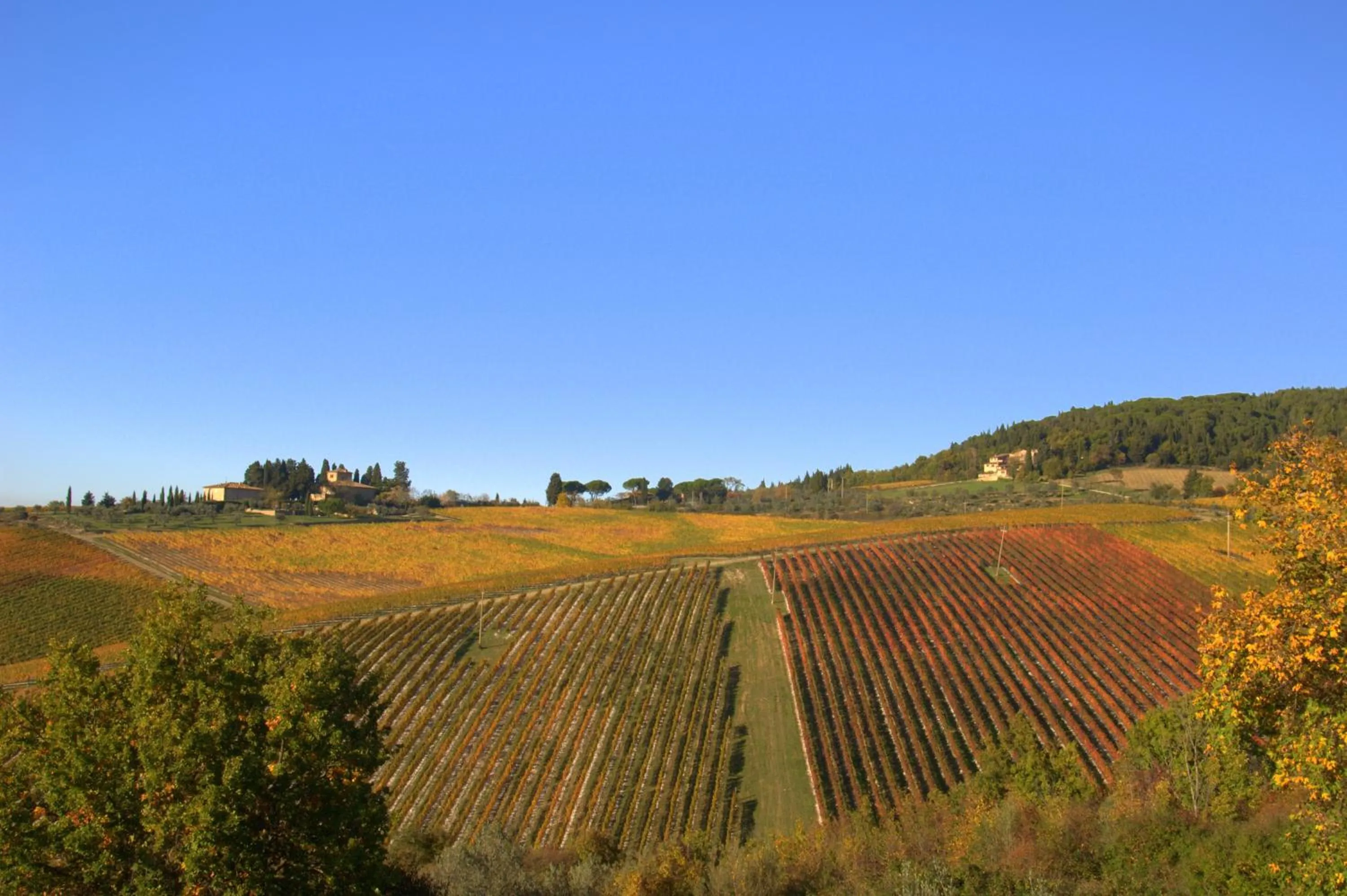Natural landscape in Fonte De' Medici
