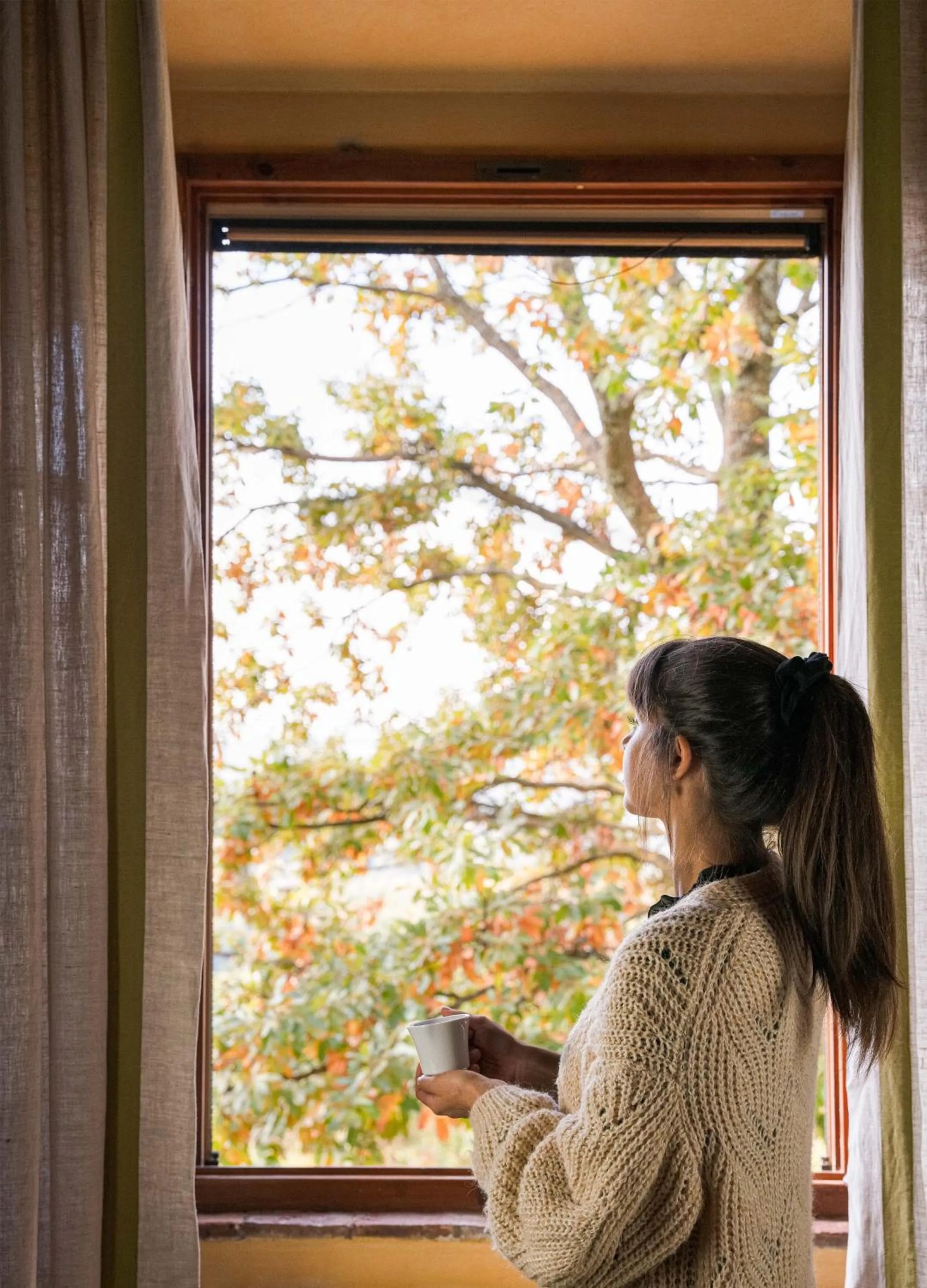 View (from property/room) in Fonte De' Medici