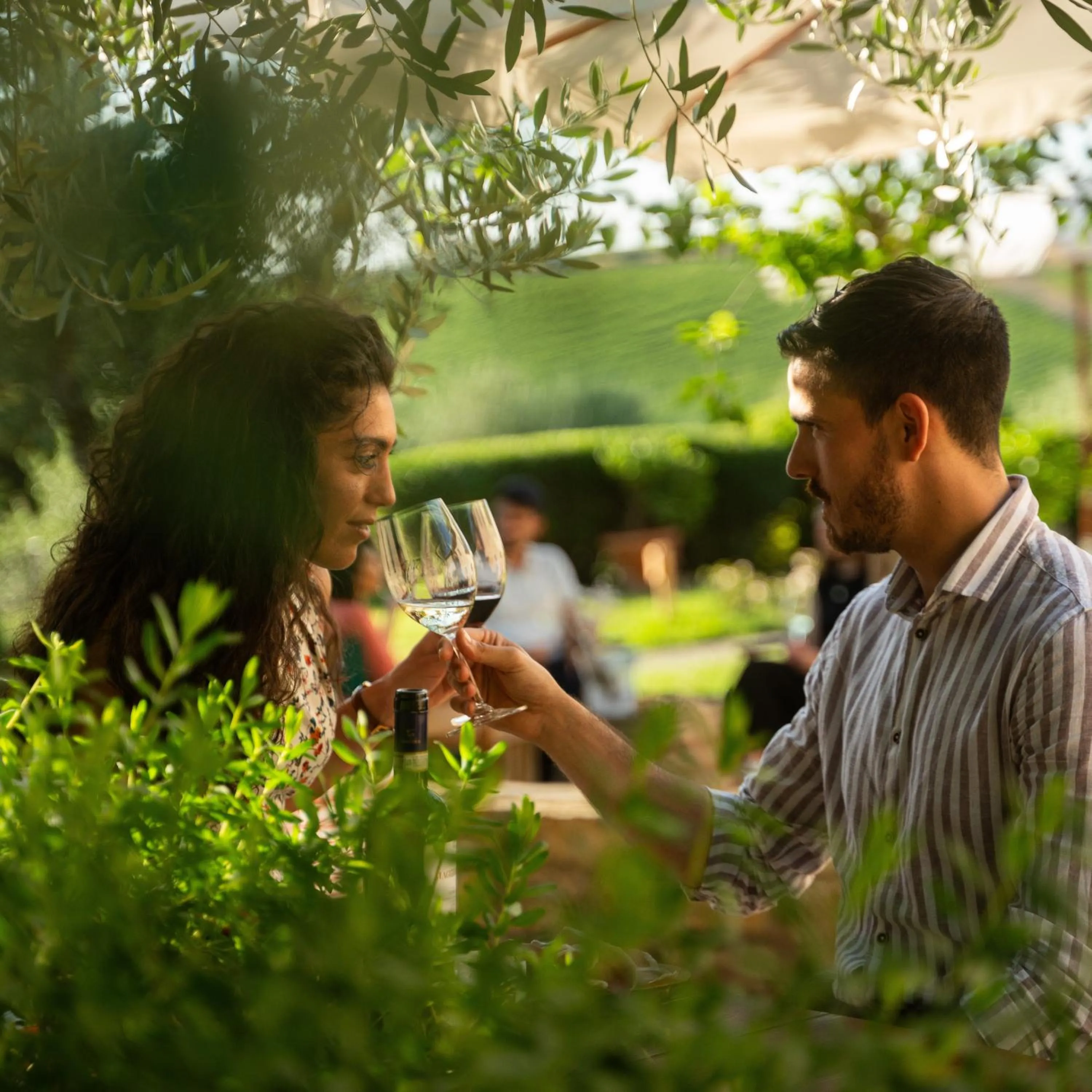 Day in Fonte De' Medici