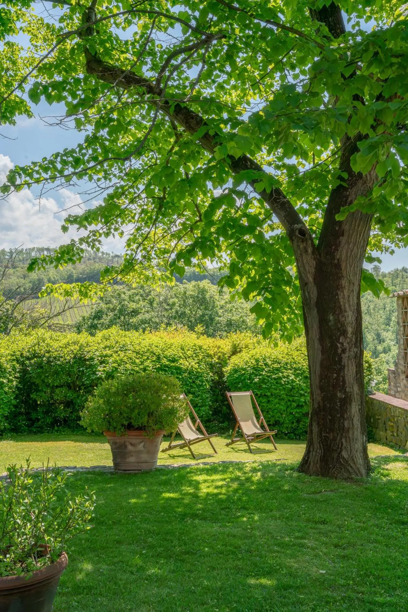 Property building in Fonte De' Medici