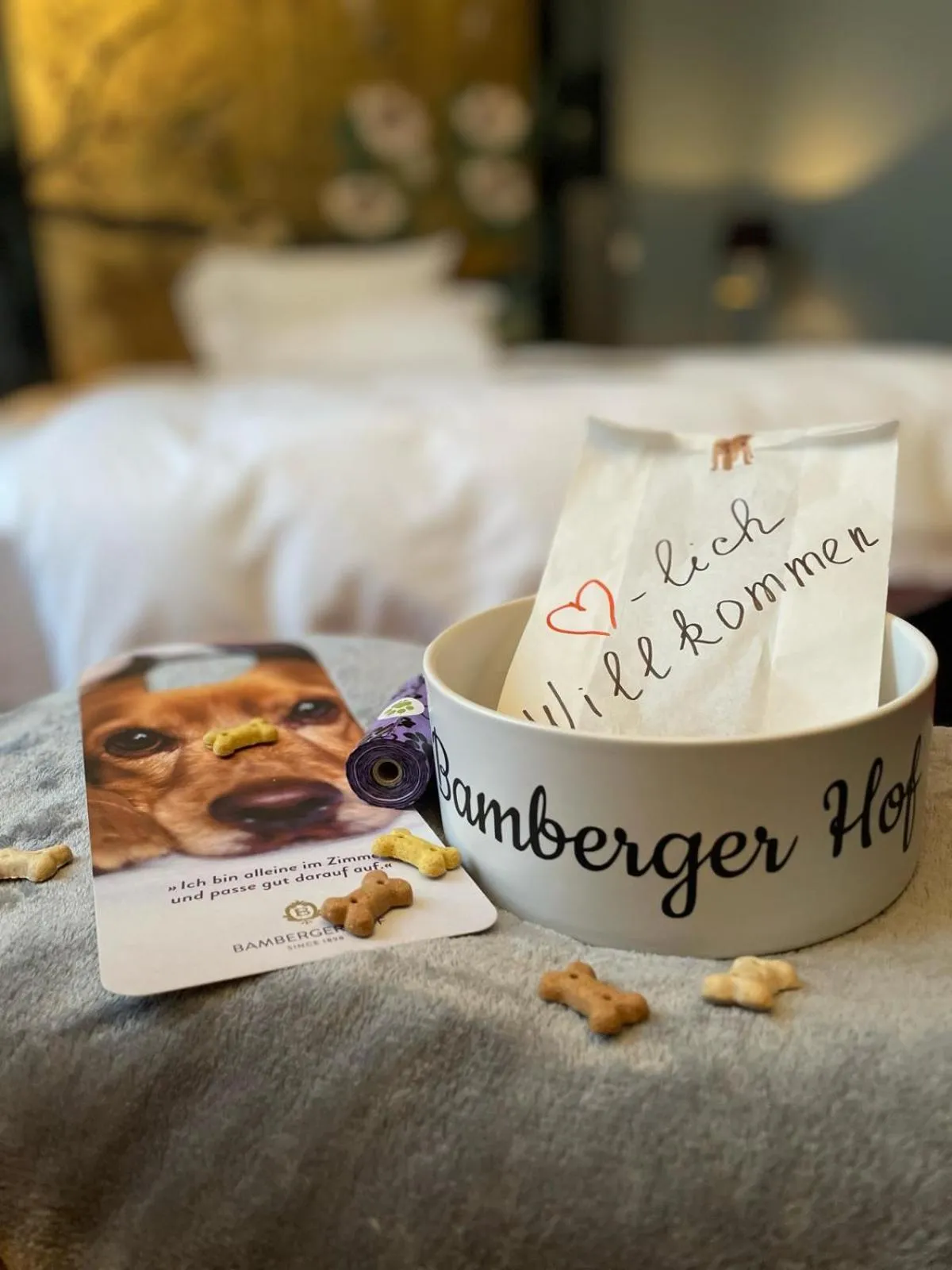 Pets, Bed in Hotel Bamberger Hof Bellevue
