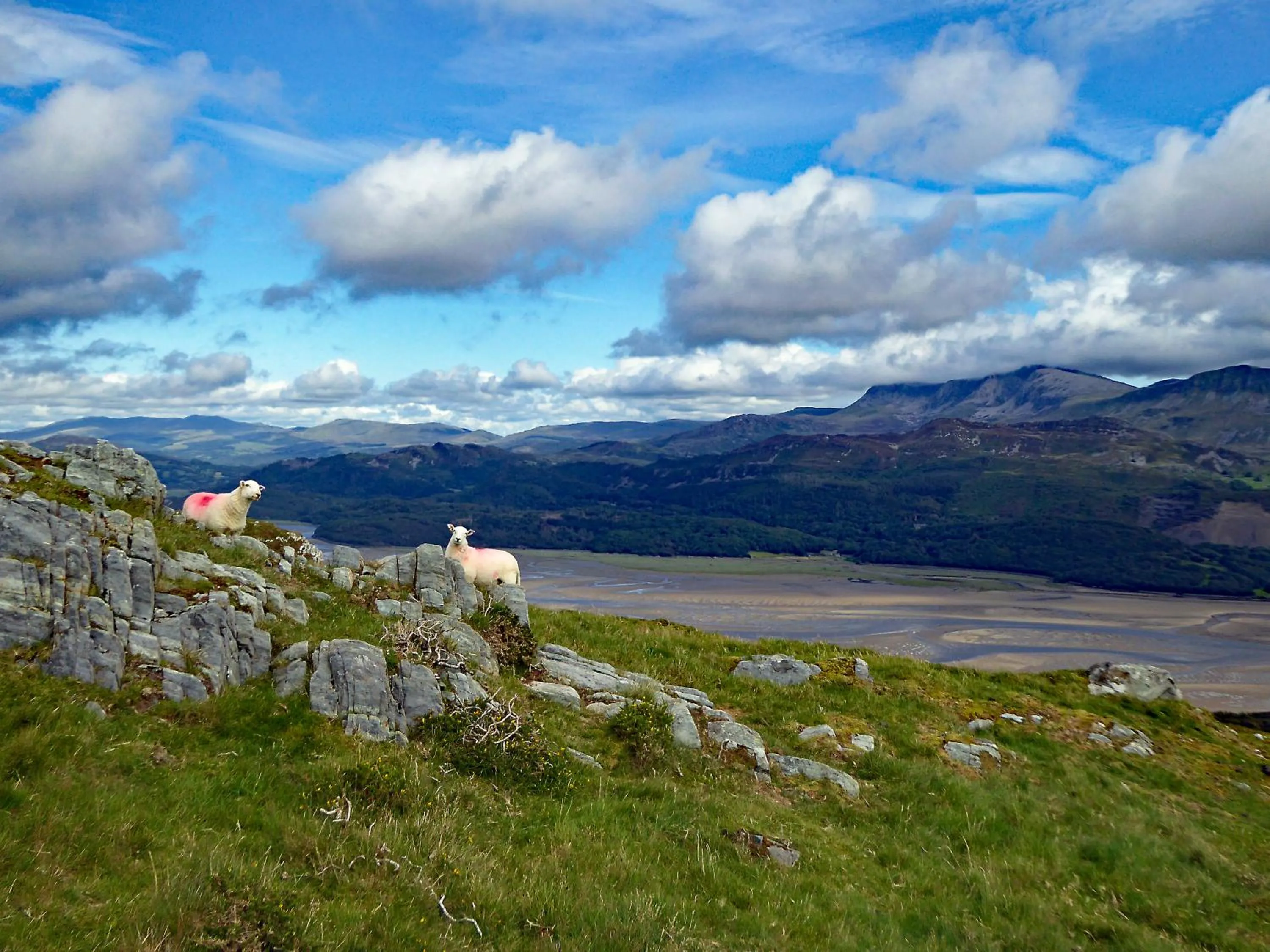 Hiking in Bryn Melyn Apartments