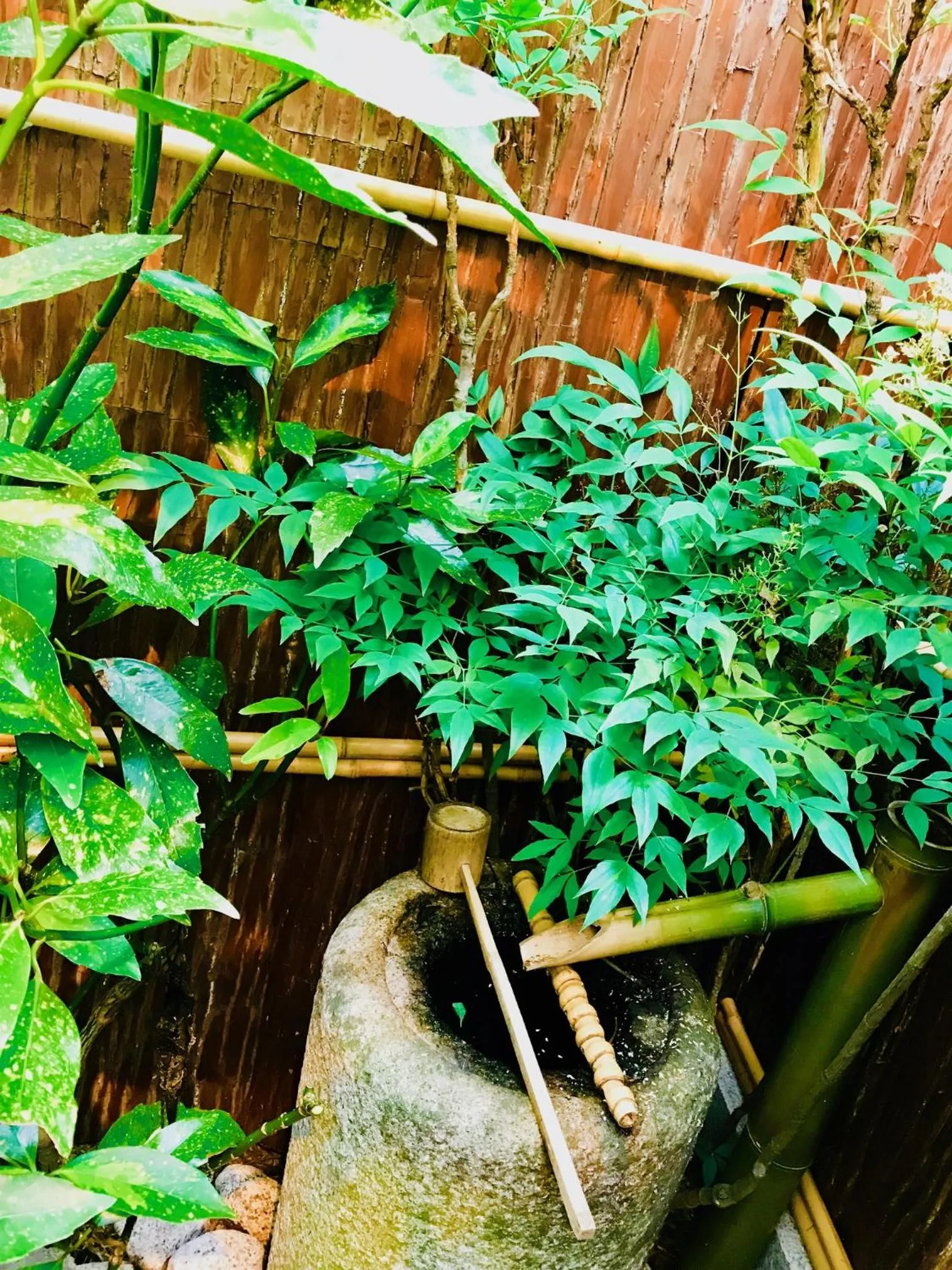 Garden in Kamozen Kyoto Machiya Stay