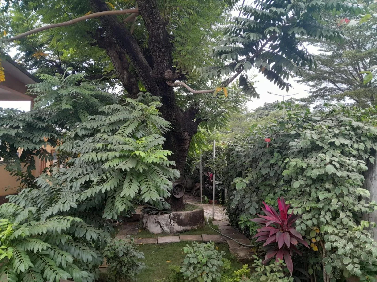Garden view in Casa de Ferias