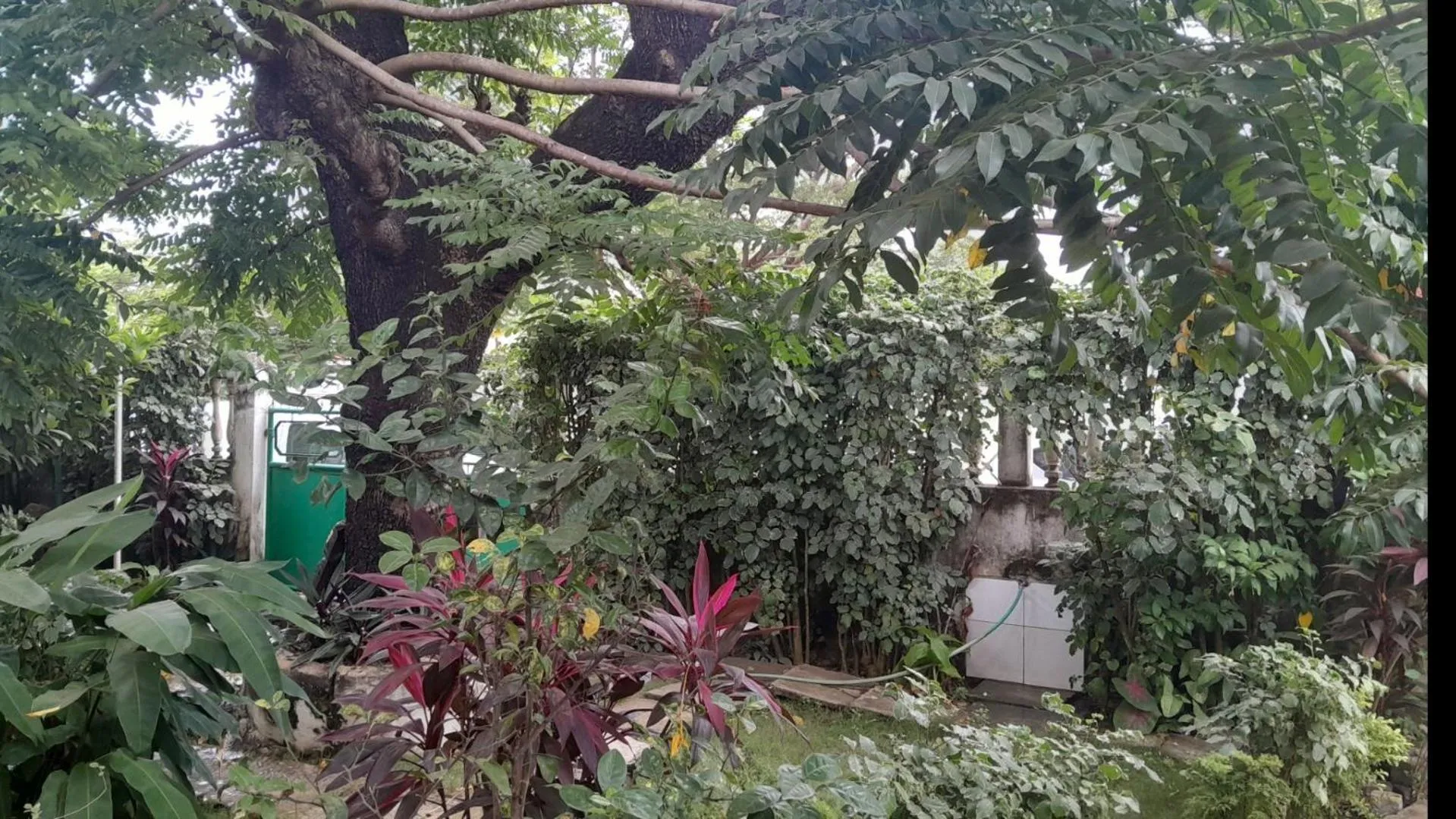 Garden view in Casa de Ferias