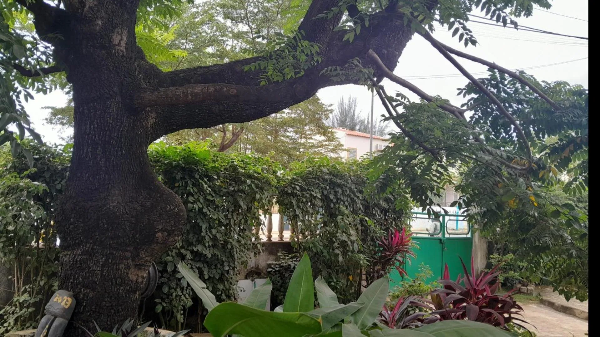 Garden in Casa de Ferias