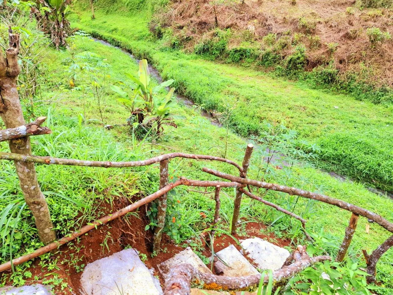 Natural landscape in Ciwidey Jungle Camp & Villa