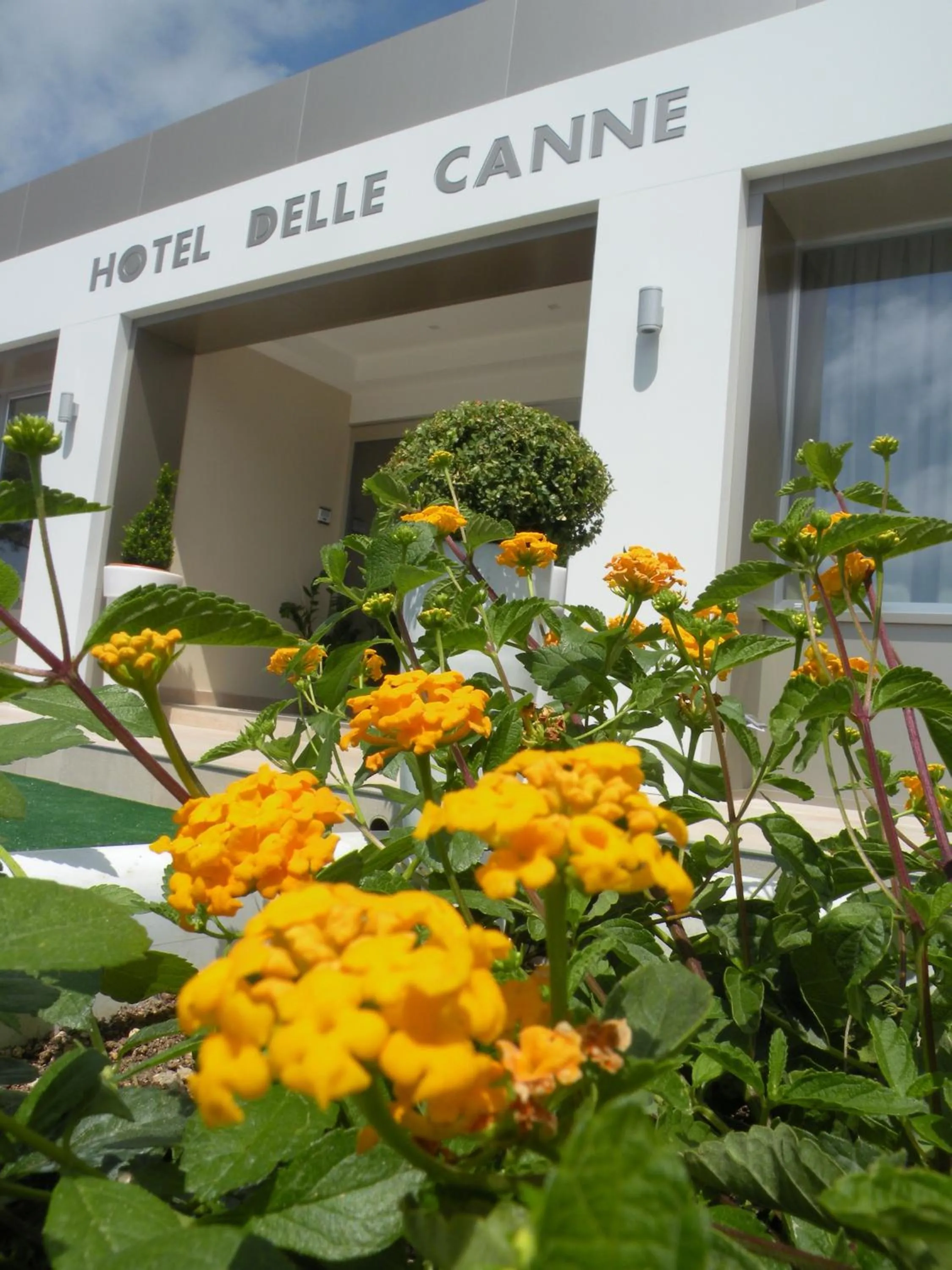 Facade/entrance in Hotel Delle Canne