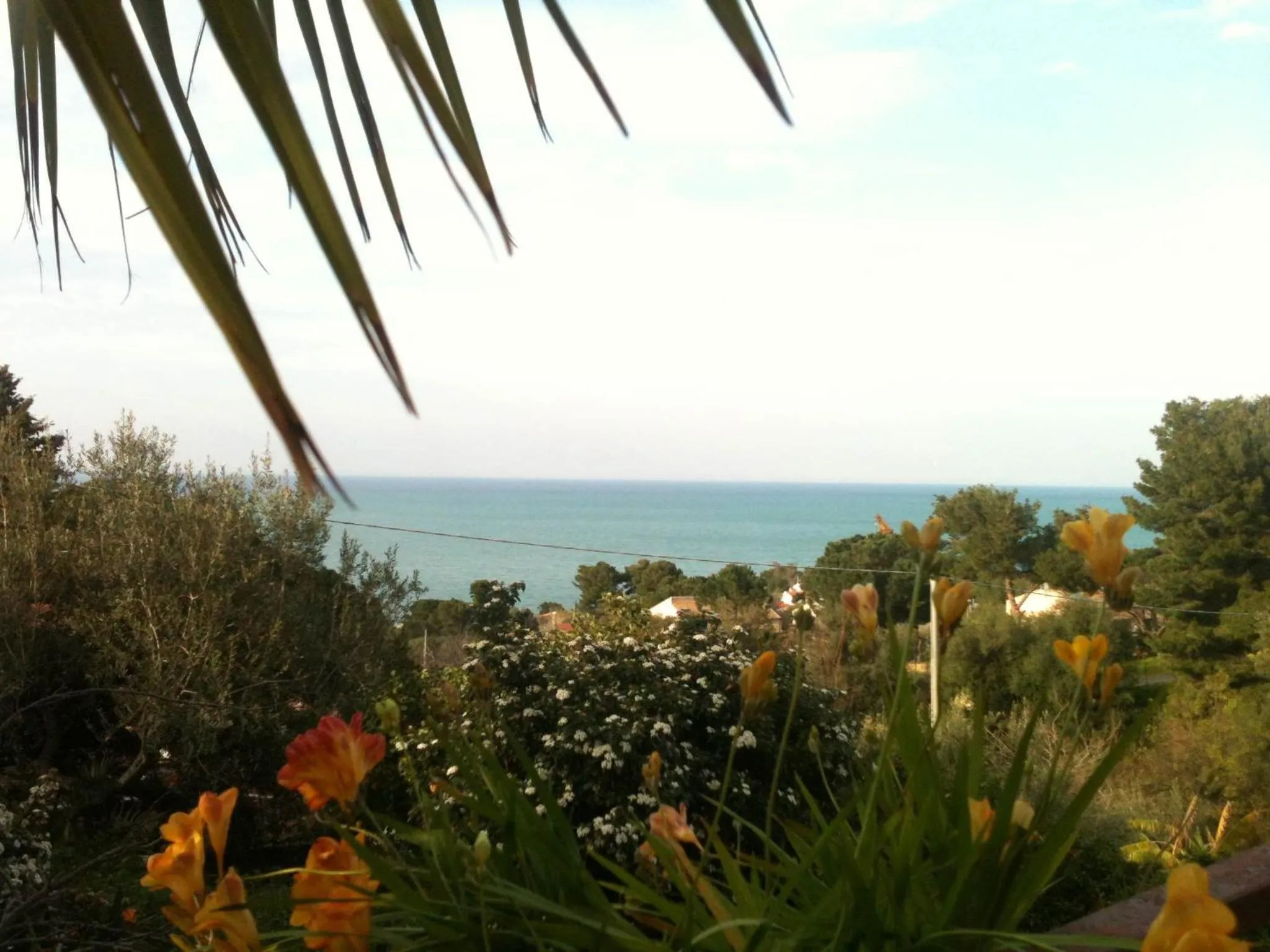 Sea view in Stanza in Villa con giardino vista mare