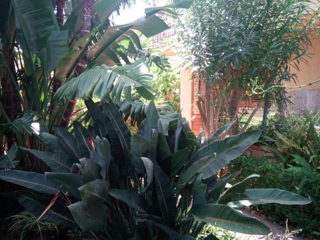 Garden view in Stanza in Villa con giardino vista mare