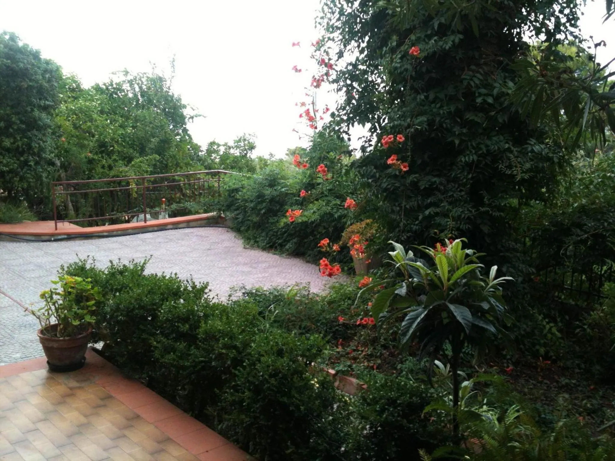 Garden in Stanza in Villa con giardino vista mare