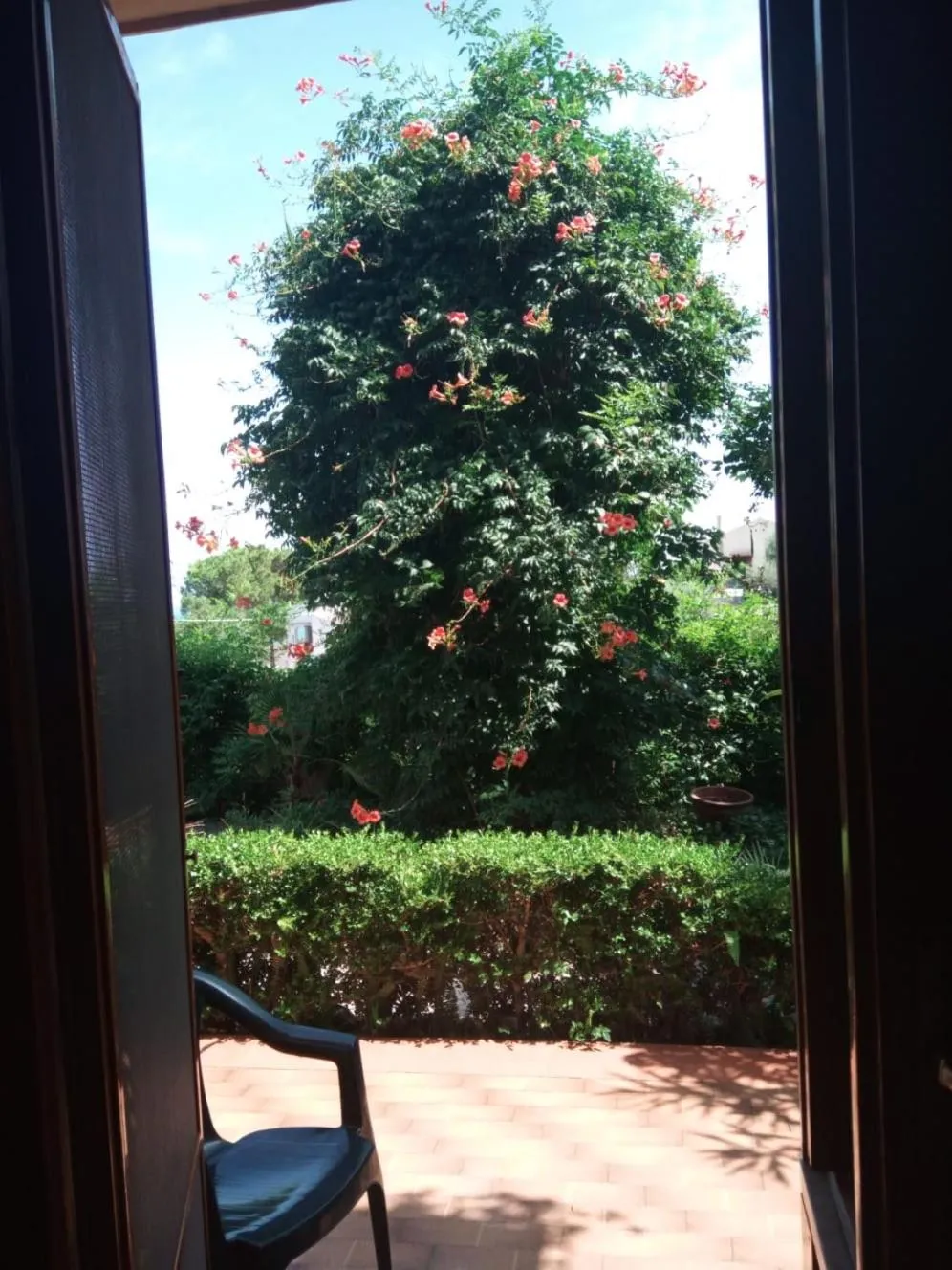 Garden in Stanza in Villa con giardino vista mare