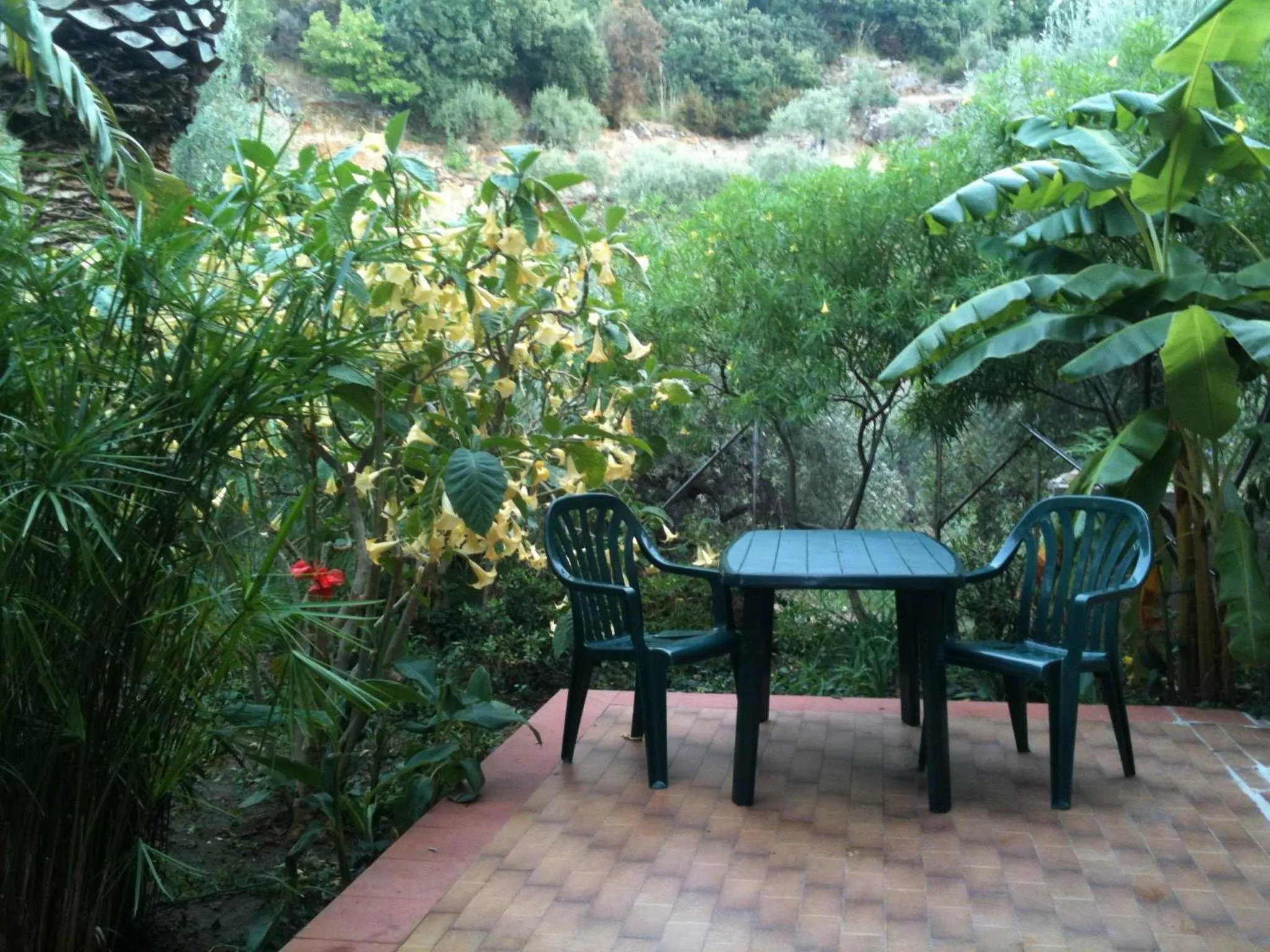 Patio in Stanza in Villa con giardino vista mare