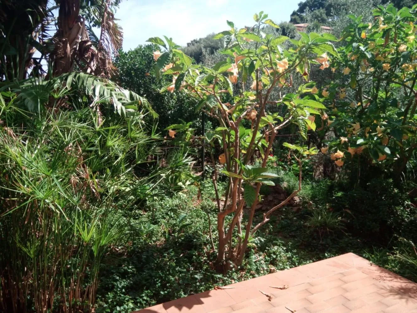 Day in Stanza in Villa con giardino vista mare