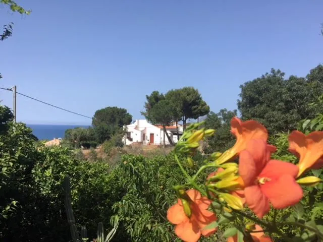 Natural landscape in Stanza in Villa con giardino vista mare