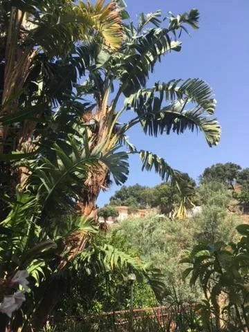 Garden view in Stanza in Villa con giardino vista mare