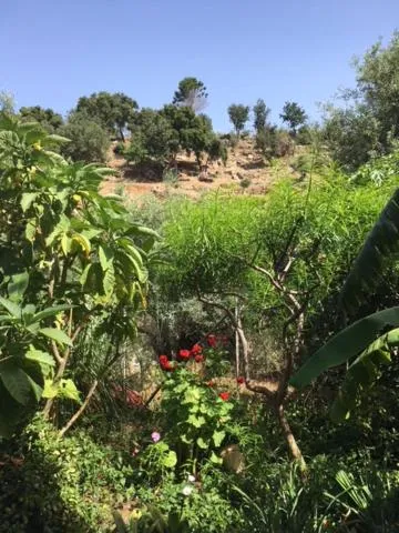 Garden in Stanza in Villa con giardino vista mare