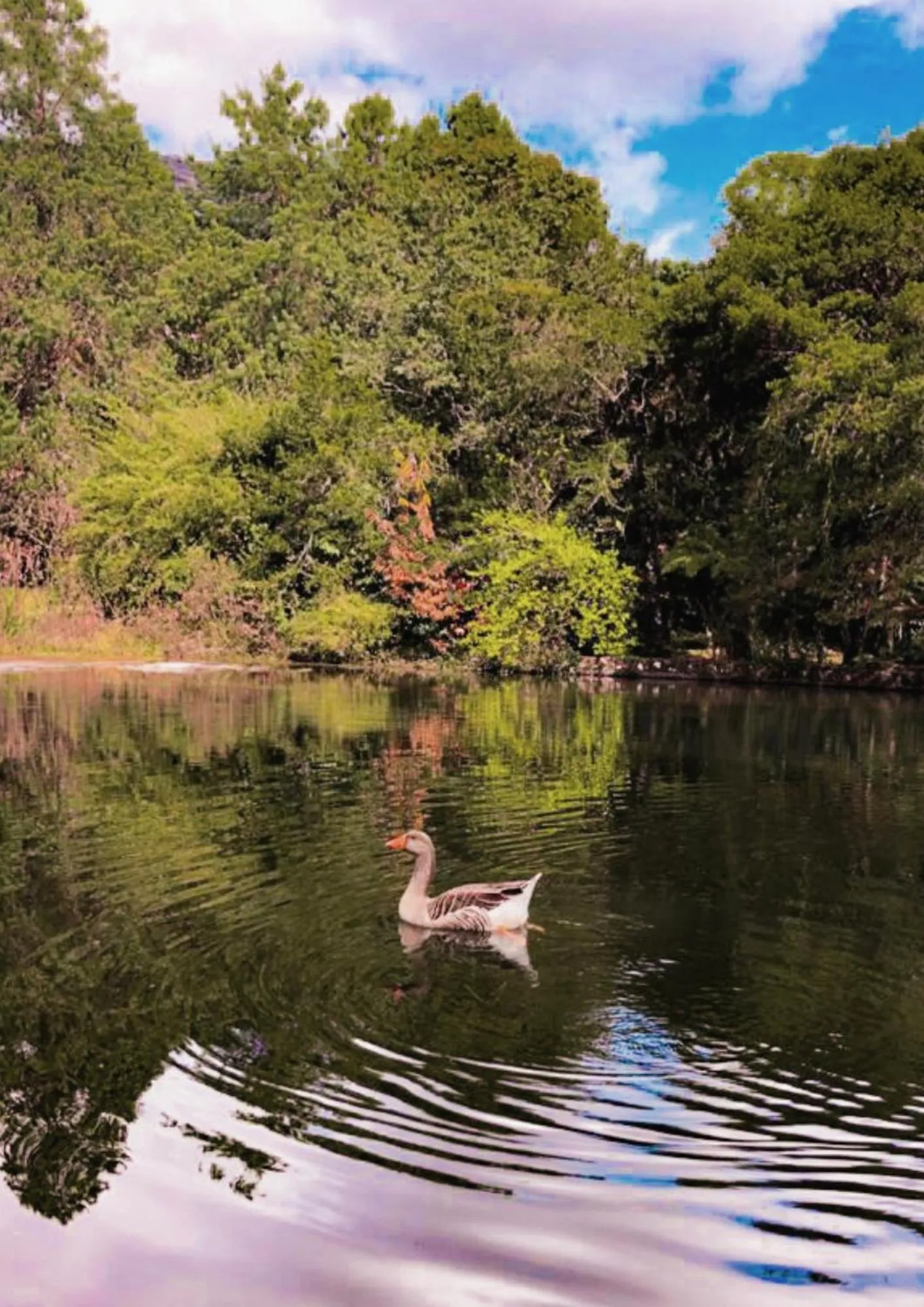 Day in Pousada O Cantinho da Raposa