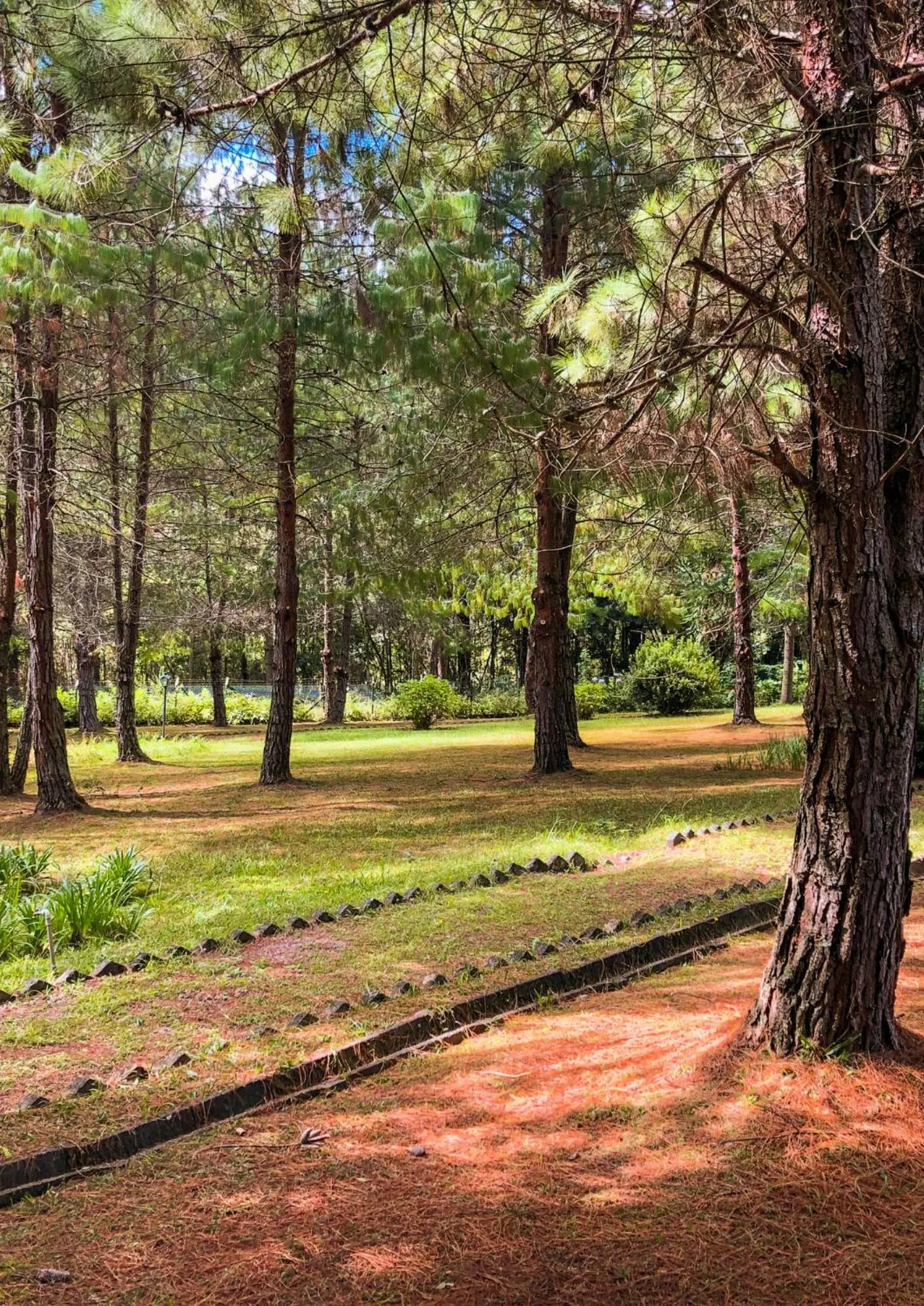 Garden in Pousada O Cantinho da Raposa