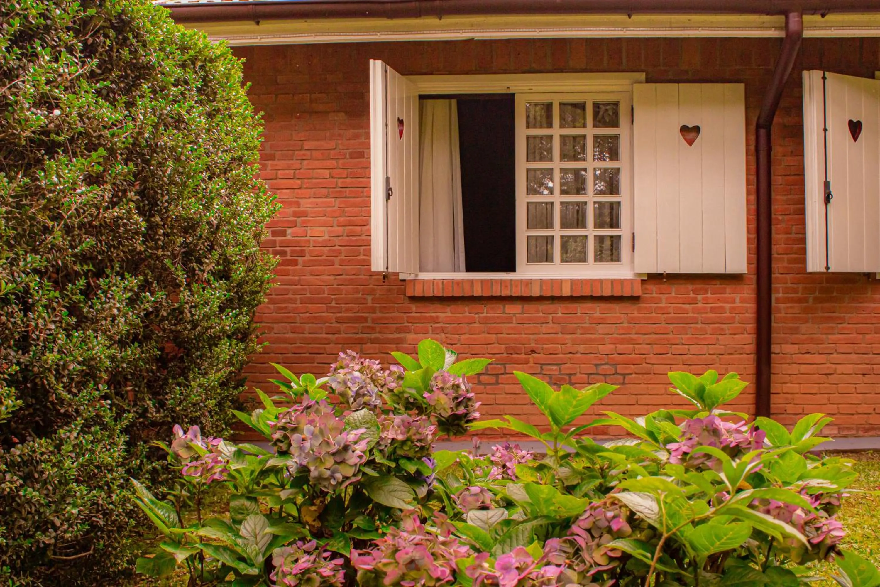 Spring in Pousada O Cantinho da Raposa