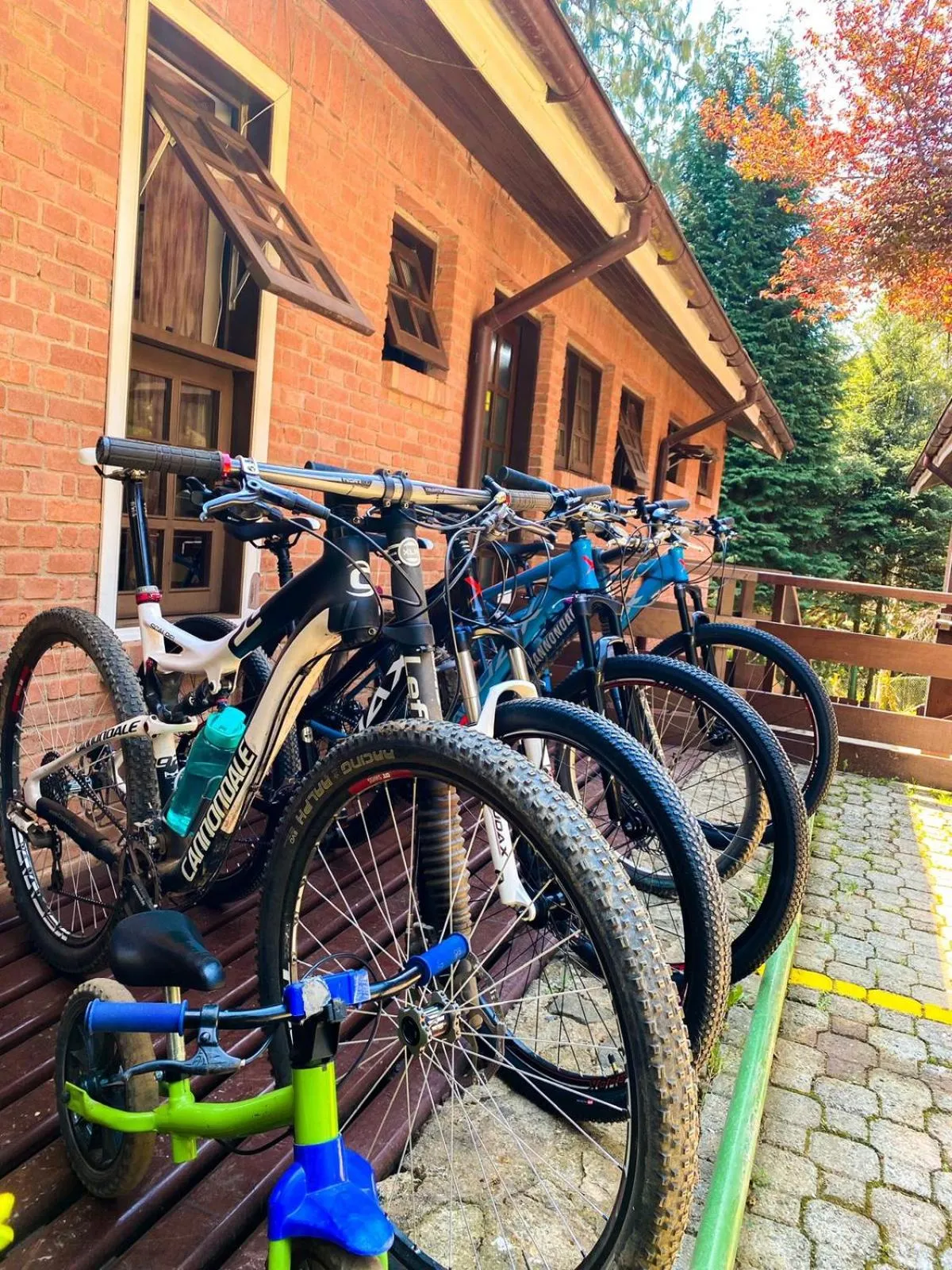 Activities in Pousada O Cantinho da Raposa