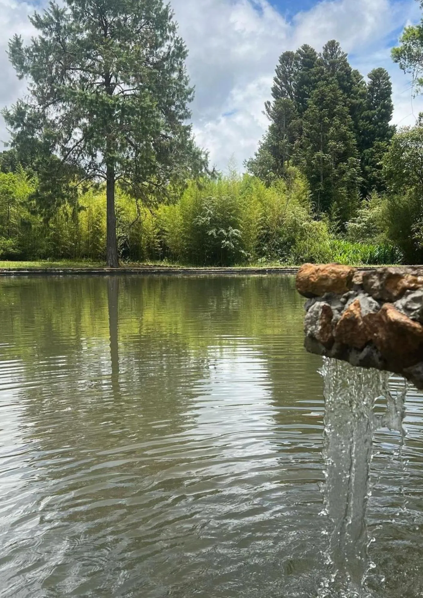 Lake view in Pousada O Cantinho da Raposa