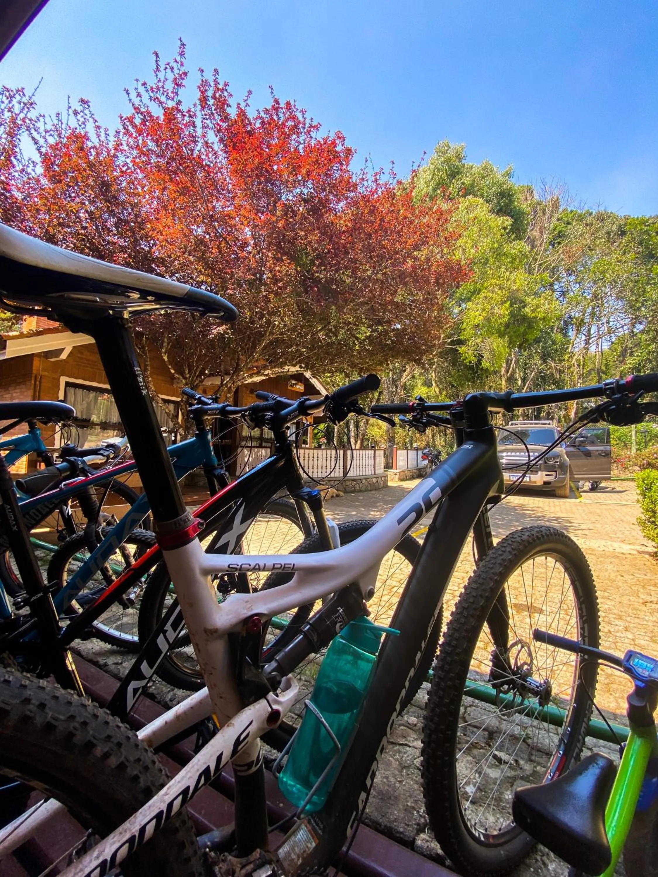 Day in Pousada O Cantinho da Raposa