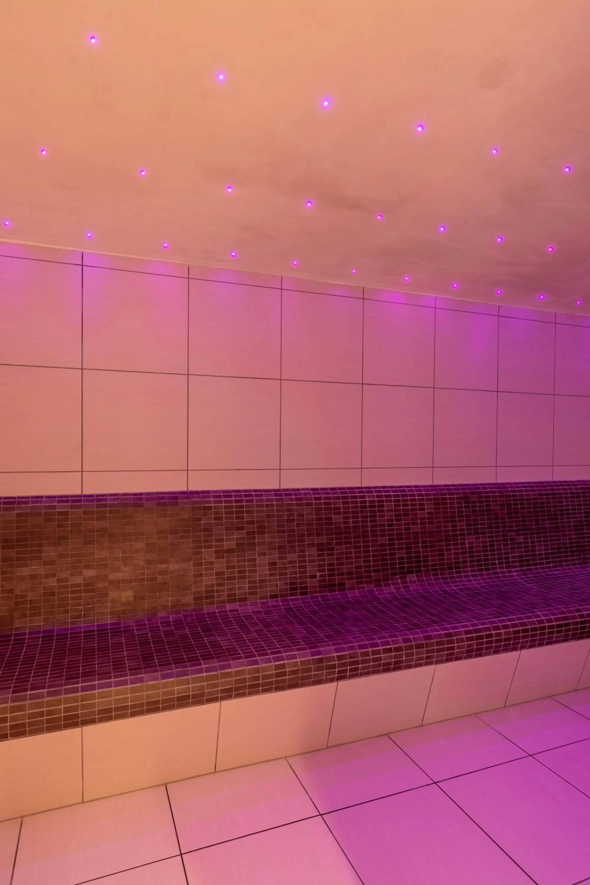 Steam room in Grand Hôtel des Rasses & Wellness