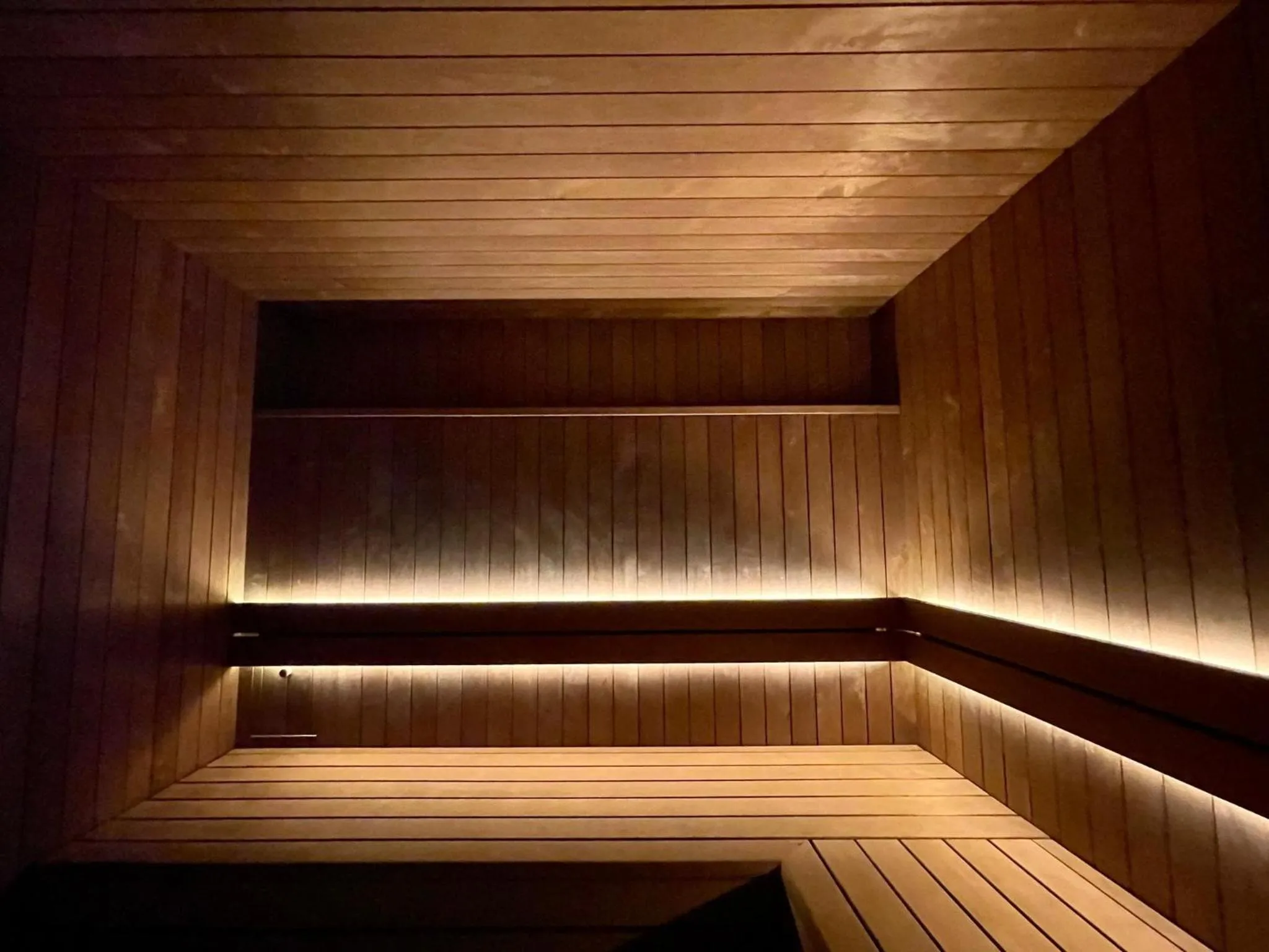 Sauna in Grand Hôtel des Rasses & Wellness