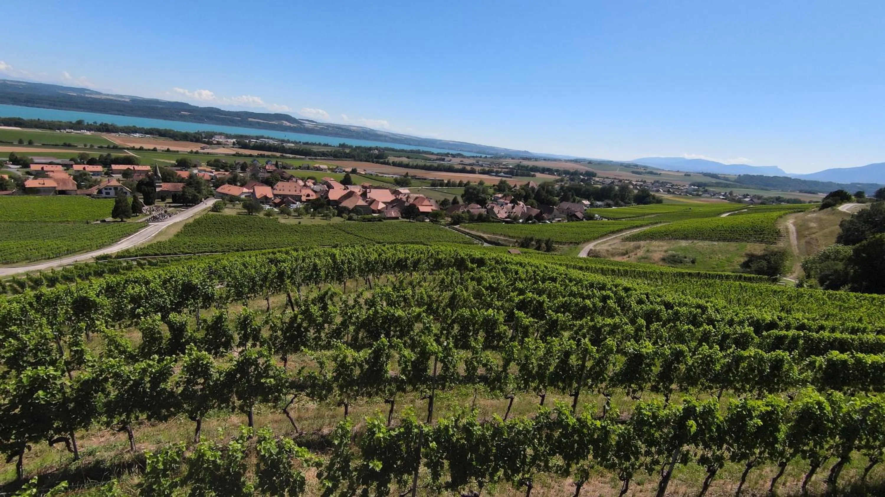 Off site in Grand Hôtel des Rasses & Wellness