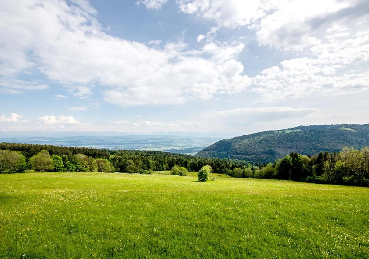 Natural landscape in Grand Hôtel des Rasses & Wellness