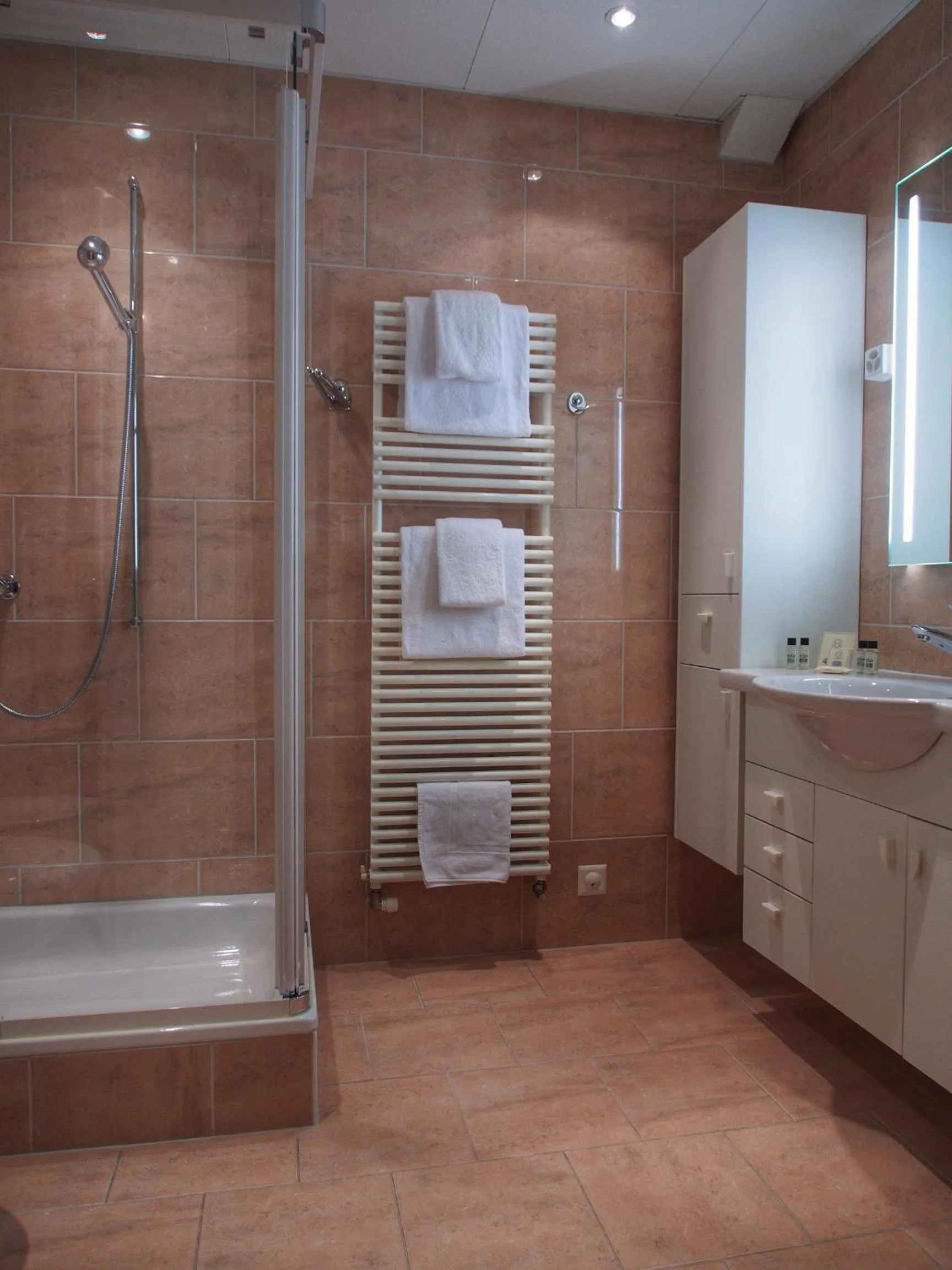 Bathroom in Grand Hôtel des Rasses & Wellness