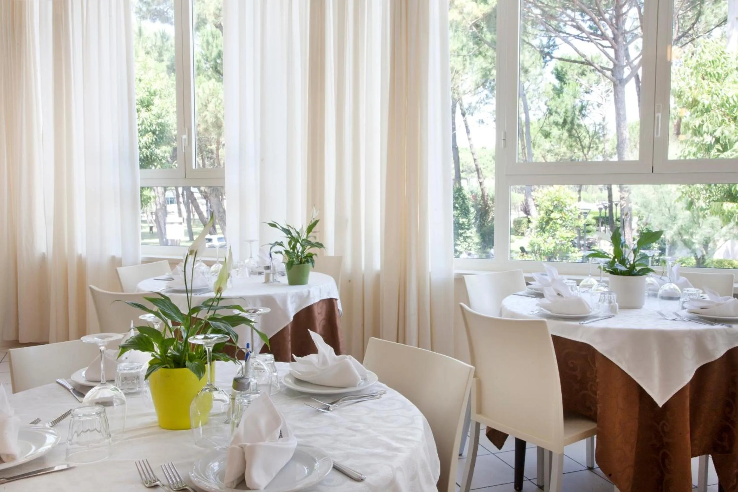 Restaurant/places to eat in Hotel Ridolfi