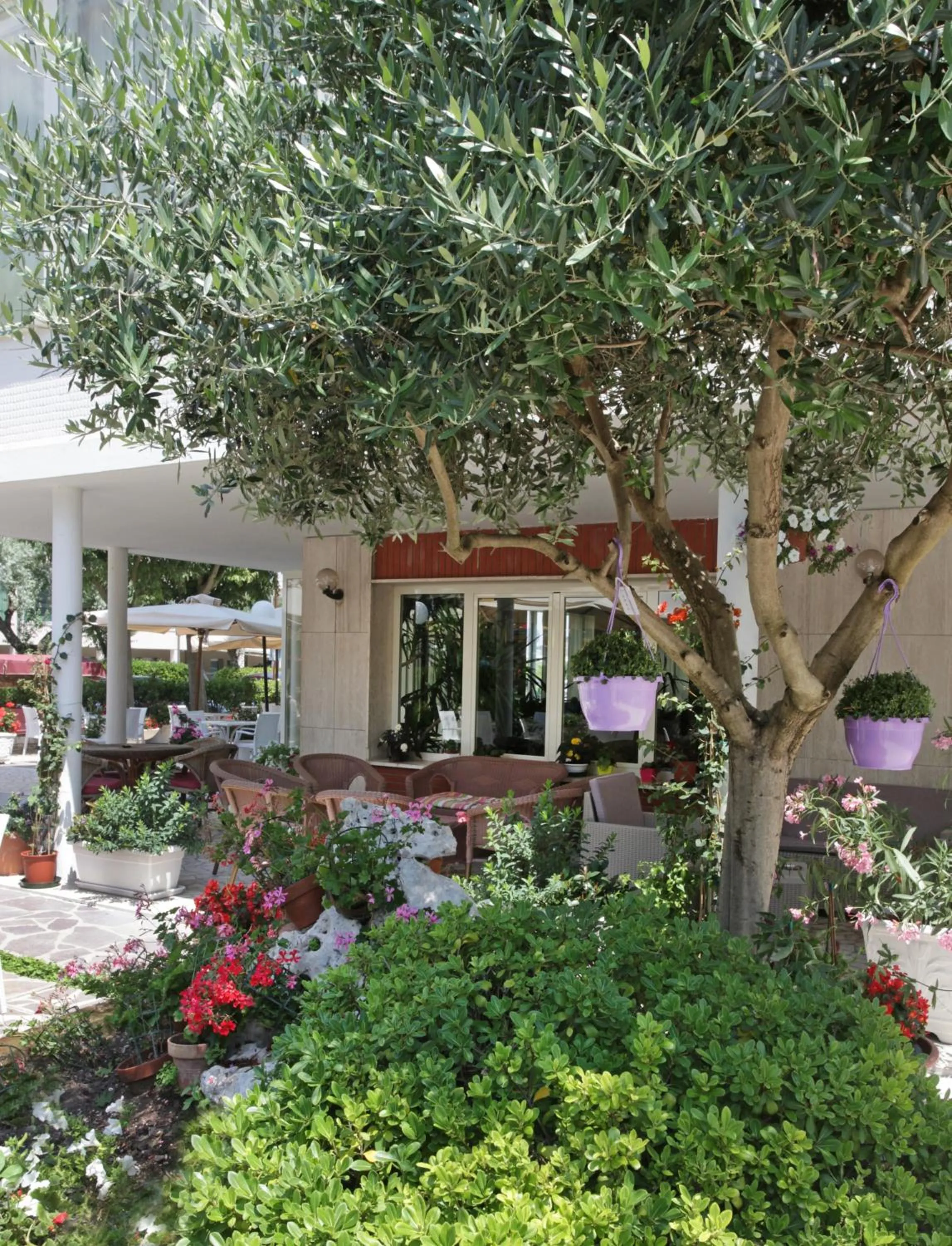 Garden in Hotel Ridolfi